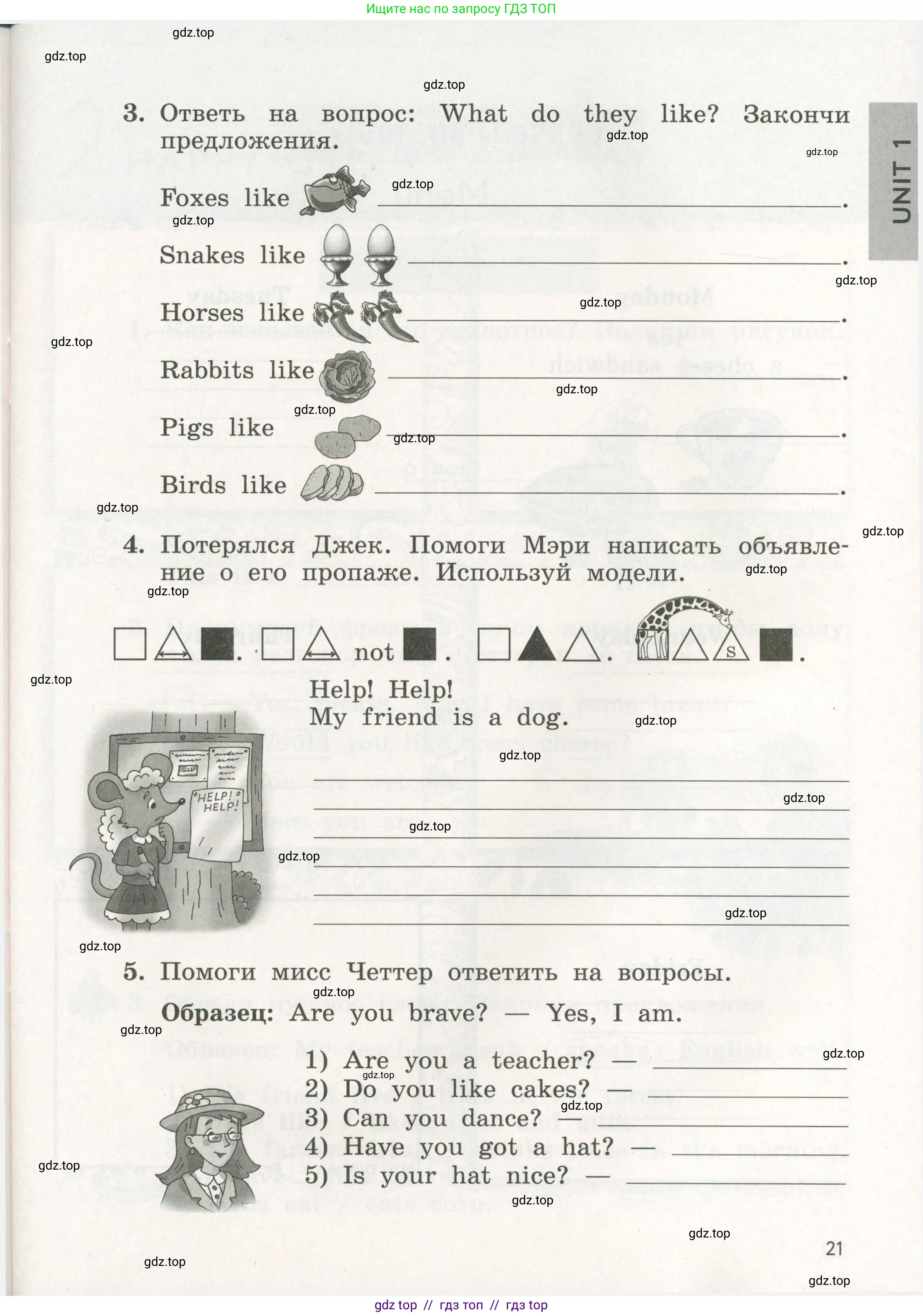 Английский язык (english), 3 класс рабочая тетрадь с контрольными работами (workbook + tests), авторы: Биболетова Мерем Забатовна, Денисенко Ольга Анатольевна, Трубанева Наталия Николаевна, издательство Просвещение, Москва, 2023, зелёного цвета, страница 21