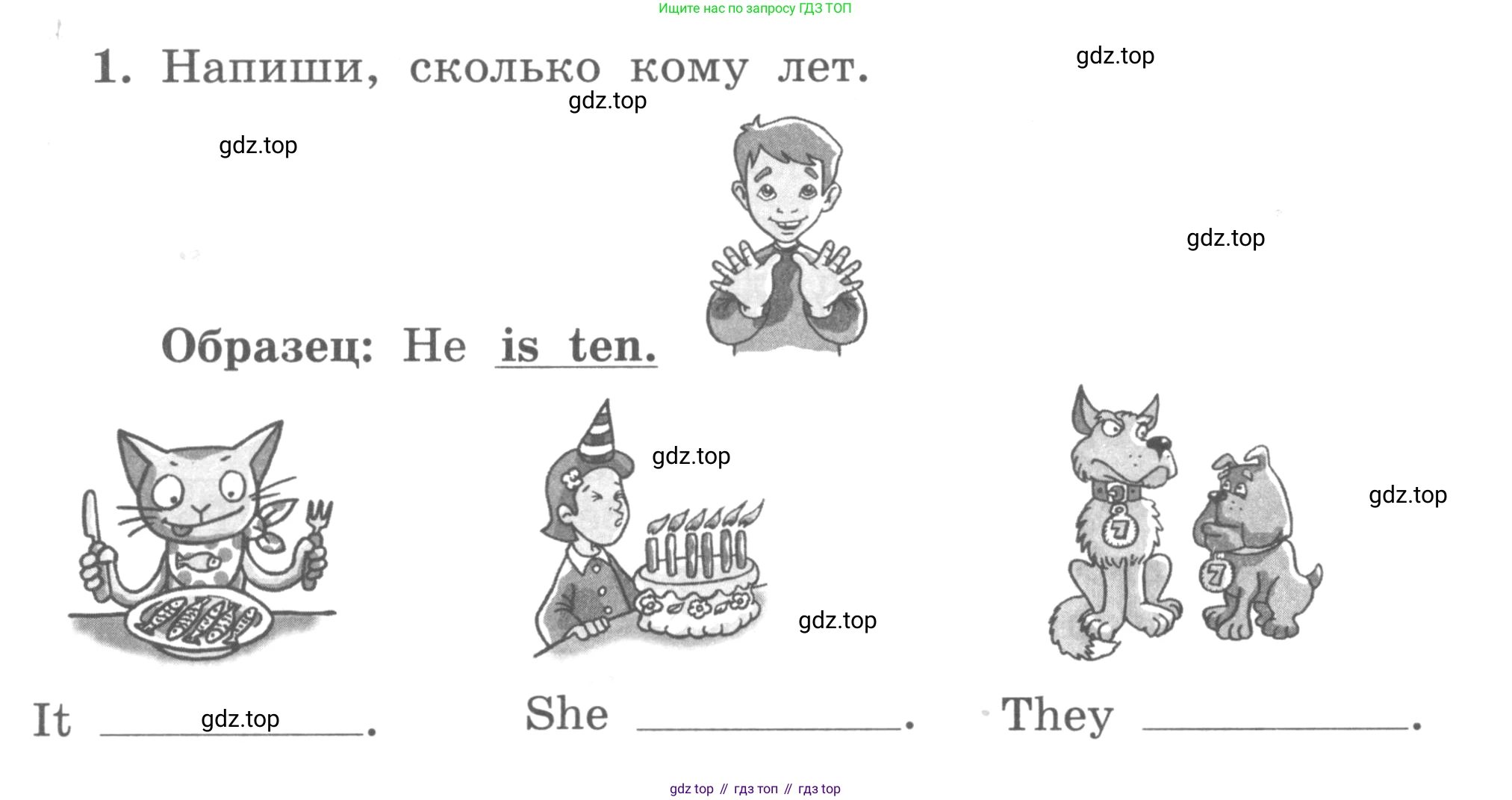 ГДЗ Английский язык (english), 3 класс рабочая тетрадь с контрольными работами (workbook + tests), авторы: Биболетова Мерем Забатовна, Денисенко Ольга Анатольевна, Трубанева Наталия Николаевна, издательство Просвещение, Москва, 2023, зелёного цвета, страница 20, номер 1, Условие 2016-2022