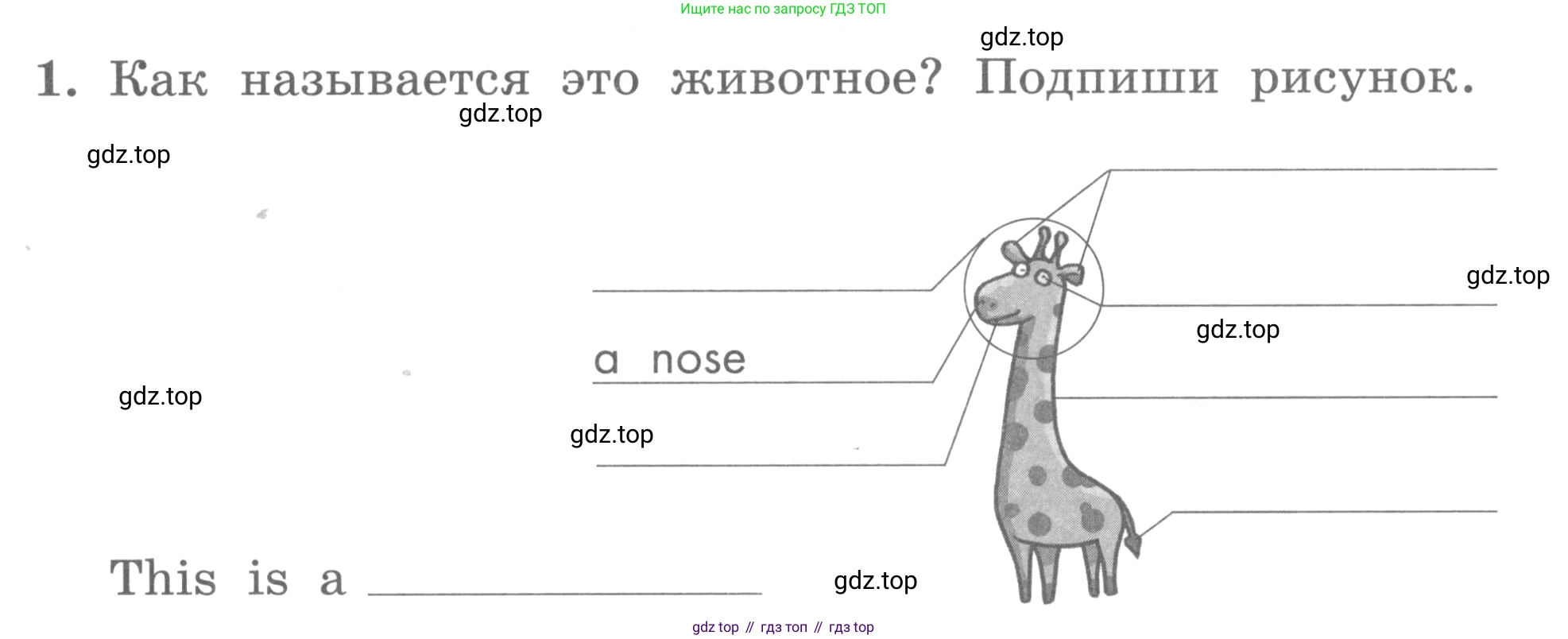 ГДЗ Английский язык (english), 3 класс рабочая тетрадь с контрольными работами (workbook + tests), авторы: Биболетова Мерем Забатовна, Денисенко Ольга Анатольевна, Трубанева Наталия Николаевна, издательство Просвещение, Москва, 2023, зелёного цвета, страница 23, номер 1, Условие 2016-2022