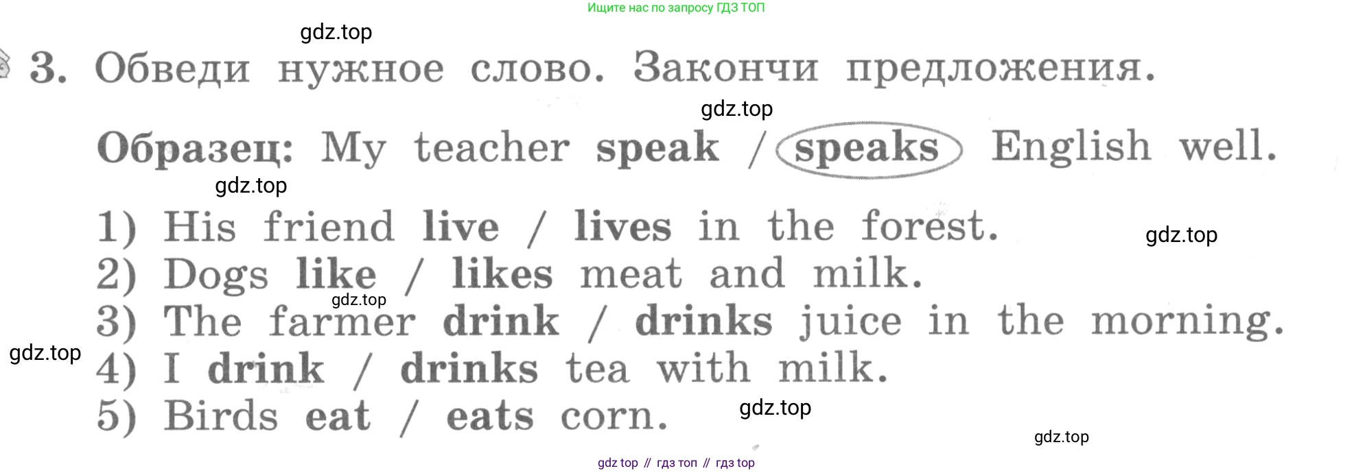 ГДЗ Английский язык (english), 3 класс рабочая тетрадь с контрольными работами (workbook + tests), авторы: Биболетова Мерем Забатовна, Денисенко Ольга Анатольевна, Трубанева Наталия Николаевна, издательство Просвещение, Москва, 2023, зелёного цвета, страница 23, номер 3, Условие 2016-2022
