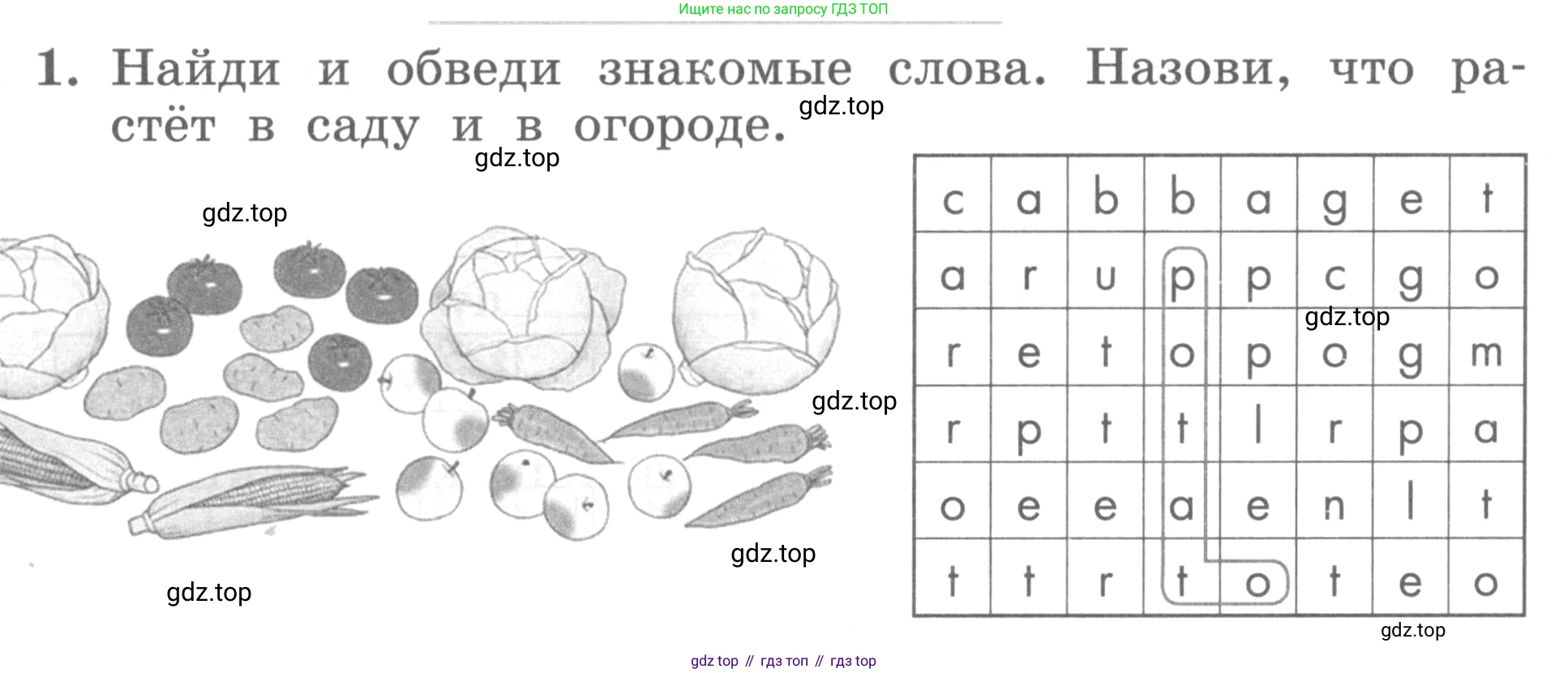 ГДЗ Английский язык (english), 3 класс рабочая тетрадь с контрольными работами (workbook + tests), авторы: Биболетова Мерем Забатовна, Денисенко Ольга Анатольевна, Трубанева Наталия Николаевна, издательство Просвещение, Москва, 2023, зелёного цвета, страница 9, номер 1, Условие 2016-2022