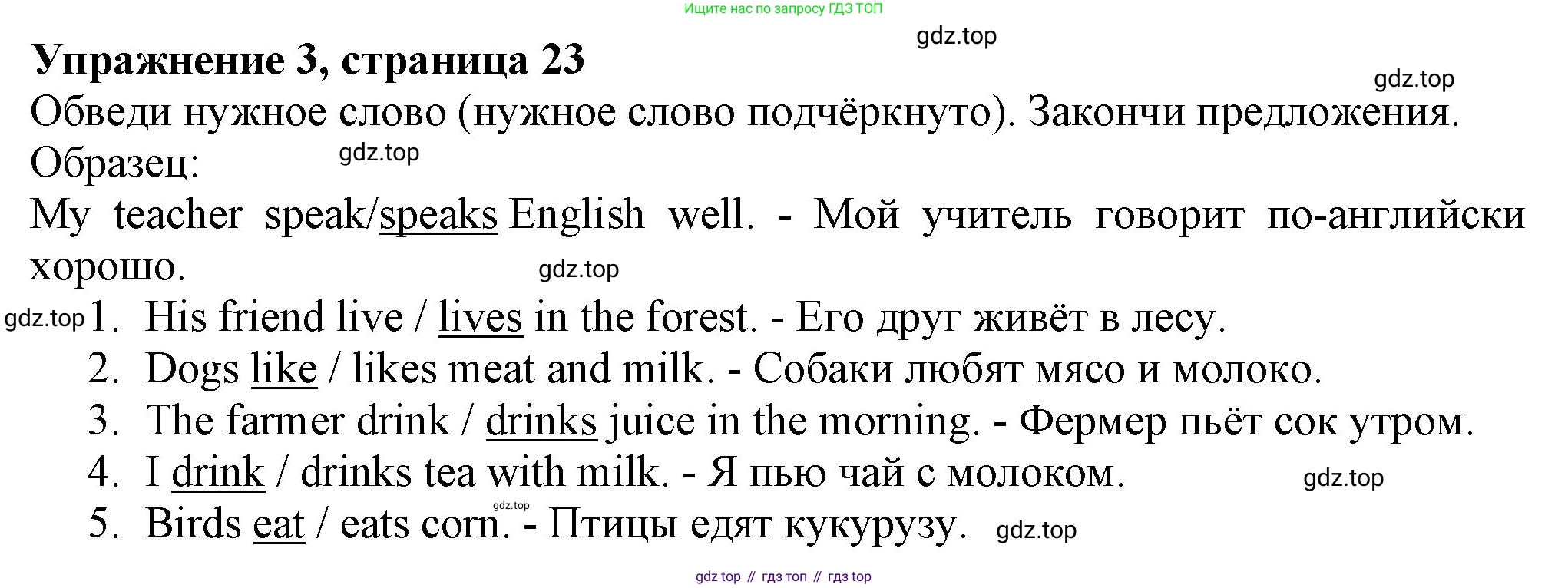 ГДЗ Английский язык (english), 3 класс рабочая тетрадь с контрольными работами (workbook + tests), авторы: Биболетова Мерем Забатовна, Денисенко Ольга Анатольевна, Трубанева Наталия Николаевна, издательство Просвещение, Москва, 2023, зелёного цвета, страница 23, номер 3, Решение 2016-2022