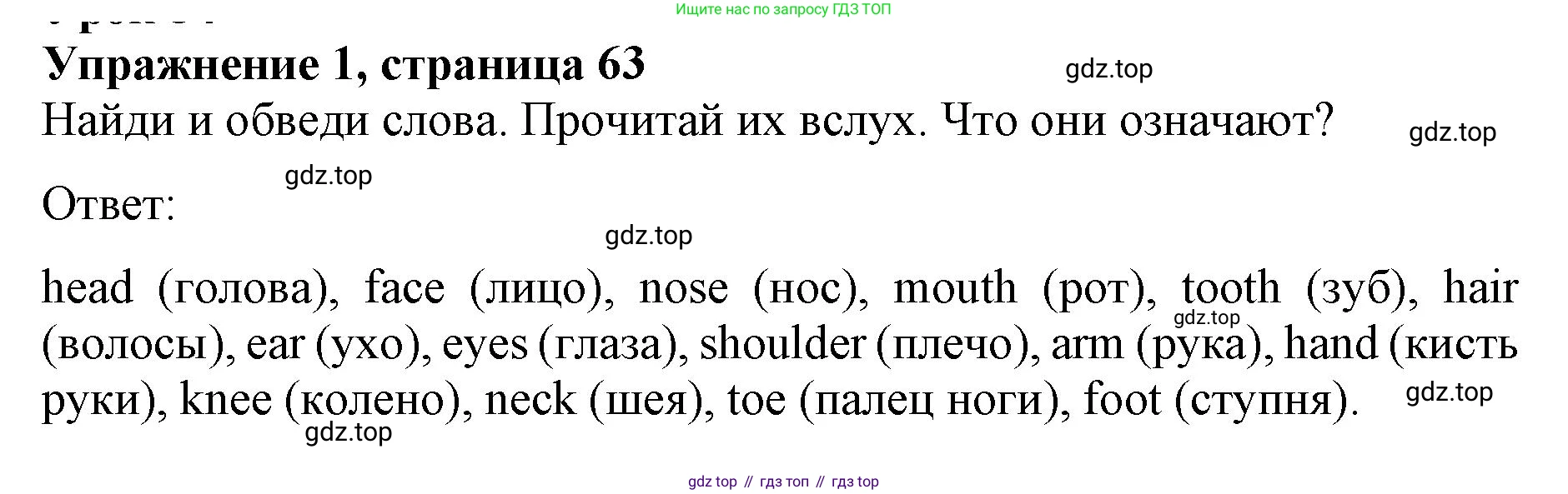 ГДЗ Английский язык (english), 3 класс рабочая тетрадь с контрольными работами (workbook + tests), авторы: Биболетова Мерем Забатовна, Денисенко Ольга Анатольевна, Трубанева Наталия Николаевна, издательство Просвещение, Москва, 2023, зелёного цвета, страница 63, номер 1, Решение 2023