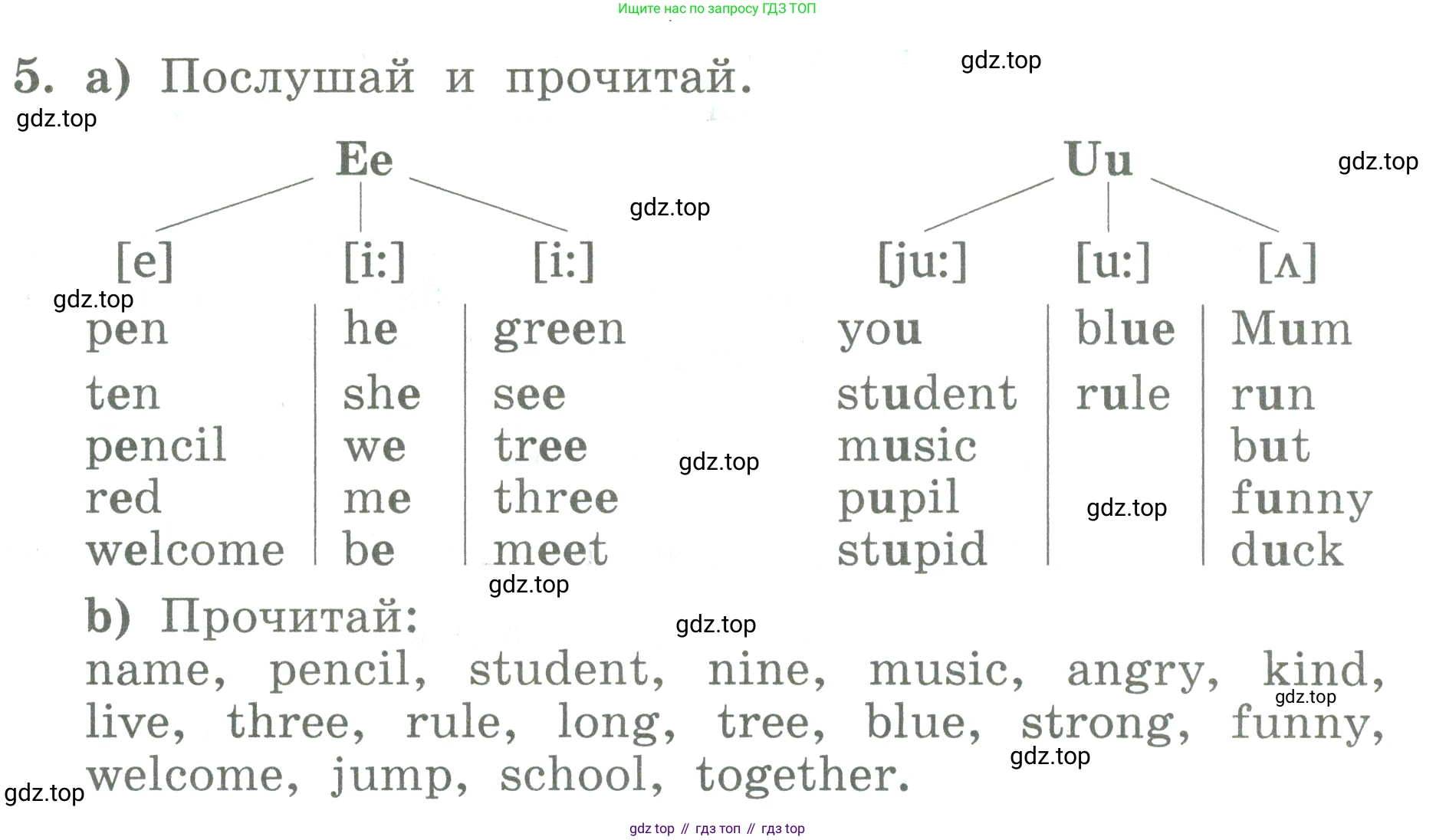 ГДЗ Английский язык (english), 3 класс Учебник (Student's book), авторы: Биболетова Мерем Забатовна, Денисенко Ольга Анатольевна, Трубанева Наталия Николаевна, издательство Просвещение, Москва, 2023, зелёного цвета, страница 8, номер 5, Условие