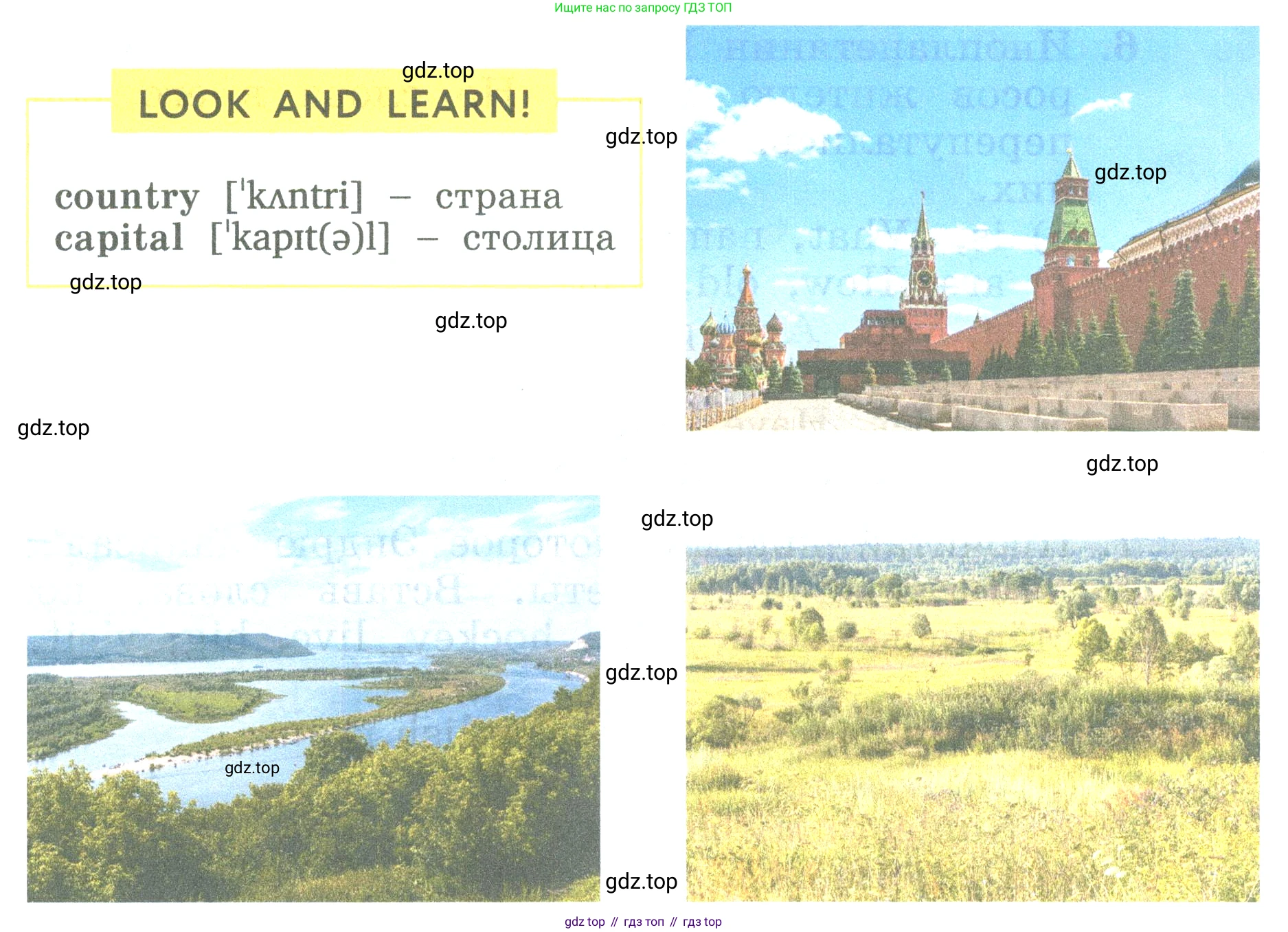 ГДЗ Английский язык (english), 3 класс Учебник (Student's book), авторы: Биболетова Мерем Забатовна, Денисенко Ольга Анатольевна, Трубанева Наталия Николаевна, издательство Просвещение, Москва, 2023, зелёного цвета, страница 103, номер 7, Условие (продолжение 2)
