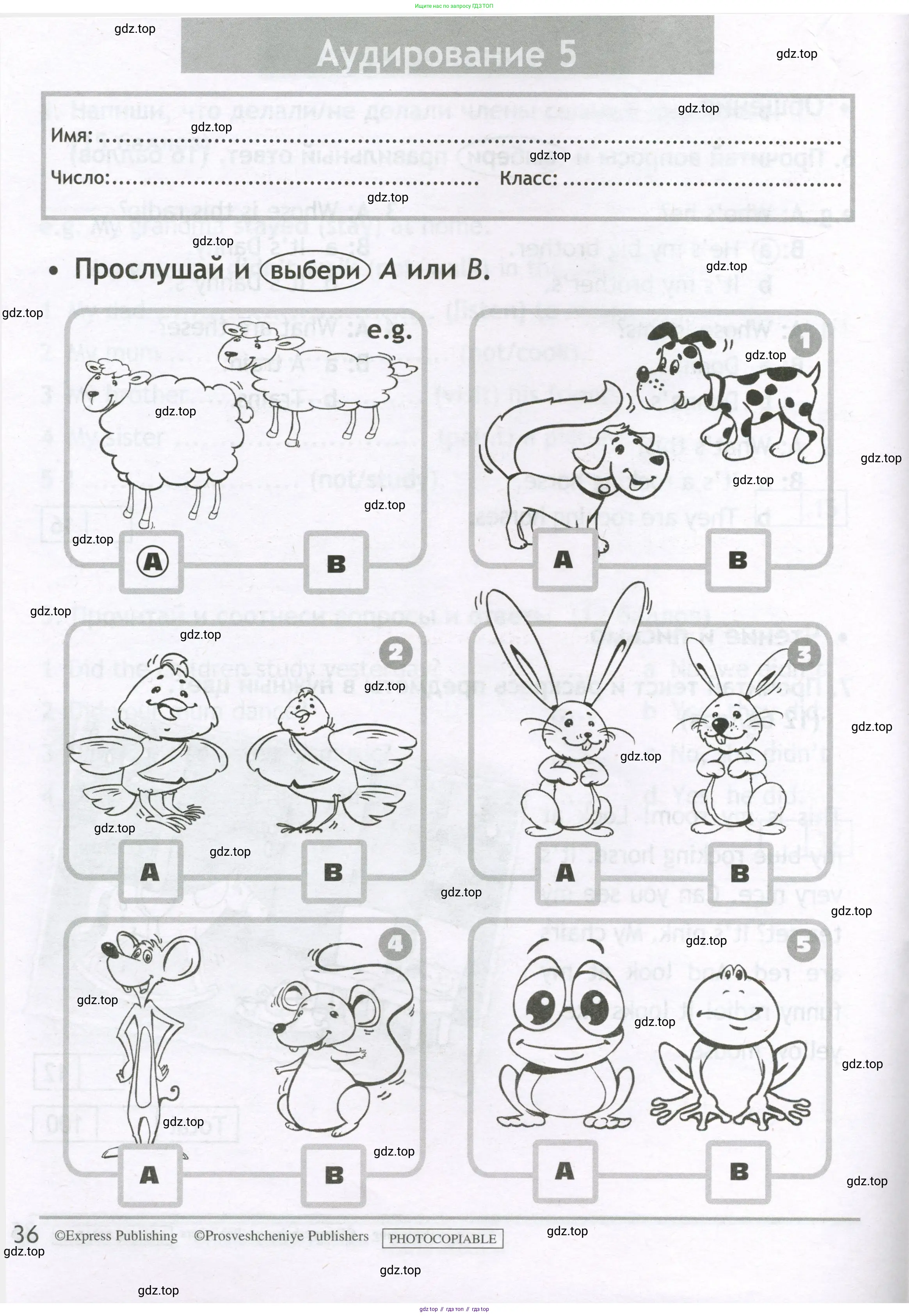 Английский язык (english), 3 класс контрольные задания (test booklet), авторы: Быкова Надежда Ильинична (Bykova Nadezhda), Дули Дженни (Dooley Jenny), Поспелова Марина Давидовна (Pospelova Marina), Эванс Вирджиния (Evans Virginia), издательство Просвещение, Москва, 2023, салатового цвета, страница 36