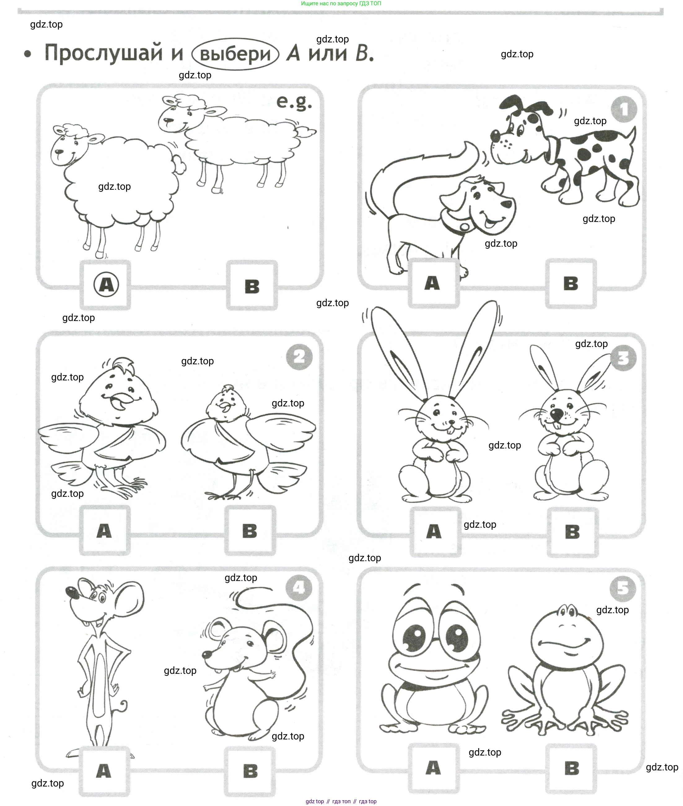 Английский язык (english), 3 класс контрольные задания (test booklet), авторы: Быкова Надежда Ильинична (Bykova Nadezhda), Дули Дженни (Dooley Jenny), Поспелова Марина Давидовна (Pospelova Marina), Эванс Вирджиния (Evans Virginia), издательство Просвещение, Москва, 2023, салатового цвета, страница 36, Условие