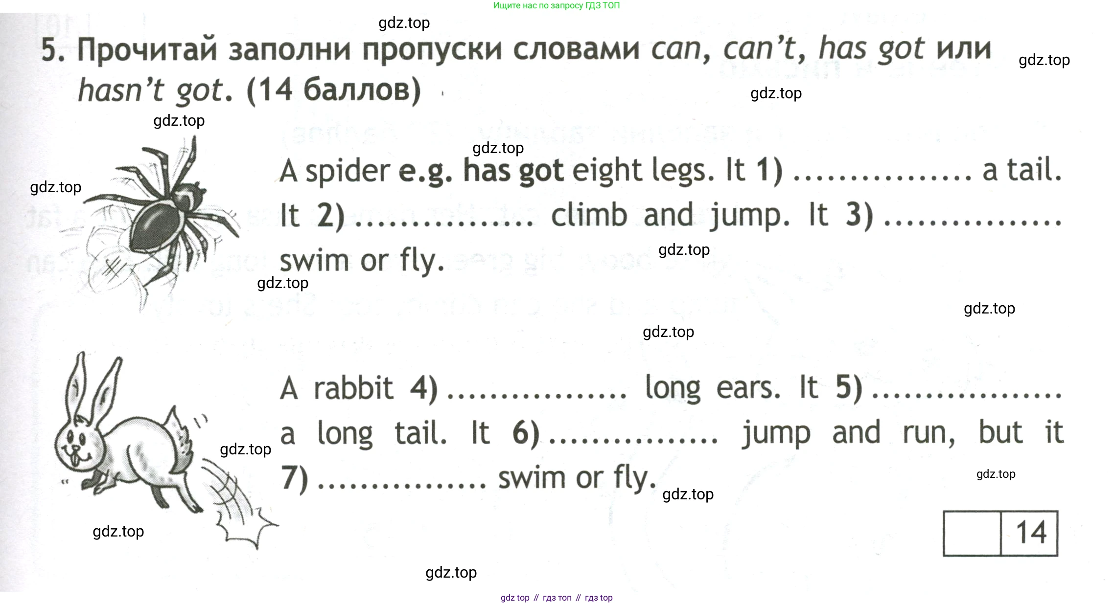 Английский язык (english), 3 класс контрольные задания (test booklet), авторы: Быкова Надежда Ильинична (Bykova Nadezhda), Дули Дженни (Dooley Jenny), Поспелова Марина Давидовна (Pospelova Marina), Эванс Вирджиния (Evans Virginia), издательство Просвещение, Москва, 2023, салатового цвета, страница 41, номер 5, Условие