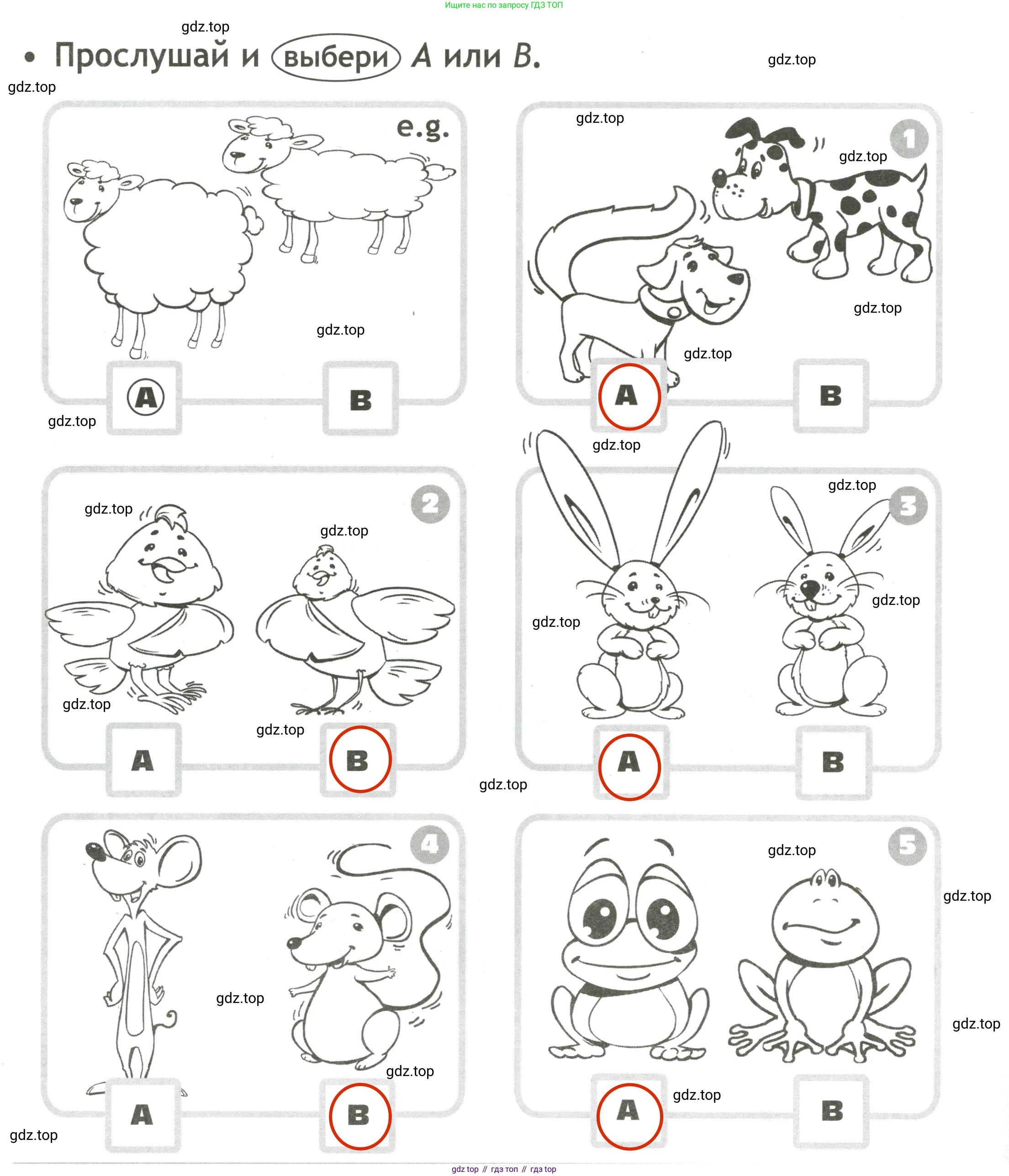 Английский язык (english), 3 класс контрольные задания (test booklet), авторы: Быкова Надежда Ильинична (Bykova Nadezhda), Дули Дженни (Dooley Jenny), Поспелова Марина Давидовна (Pospelova Marina), Эванс Вирджиния (Evans Virginia), издательство Просвещение, Москва, 2023, салатового цвета, страница 36, Решение 2