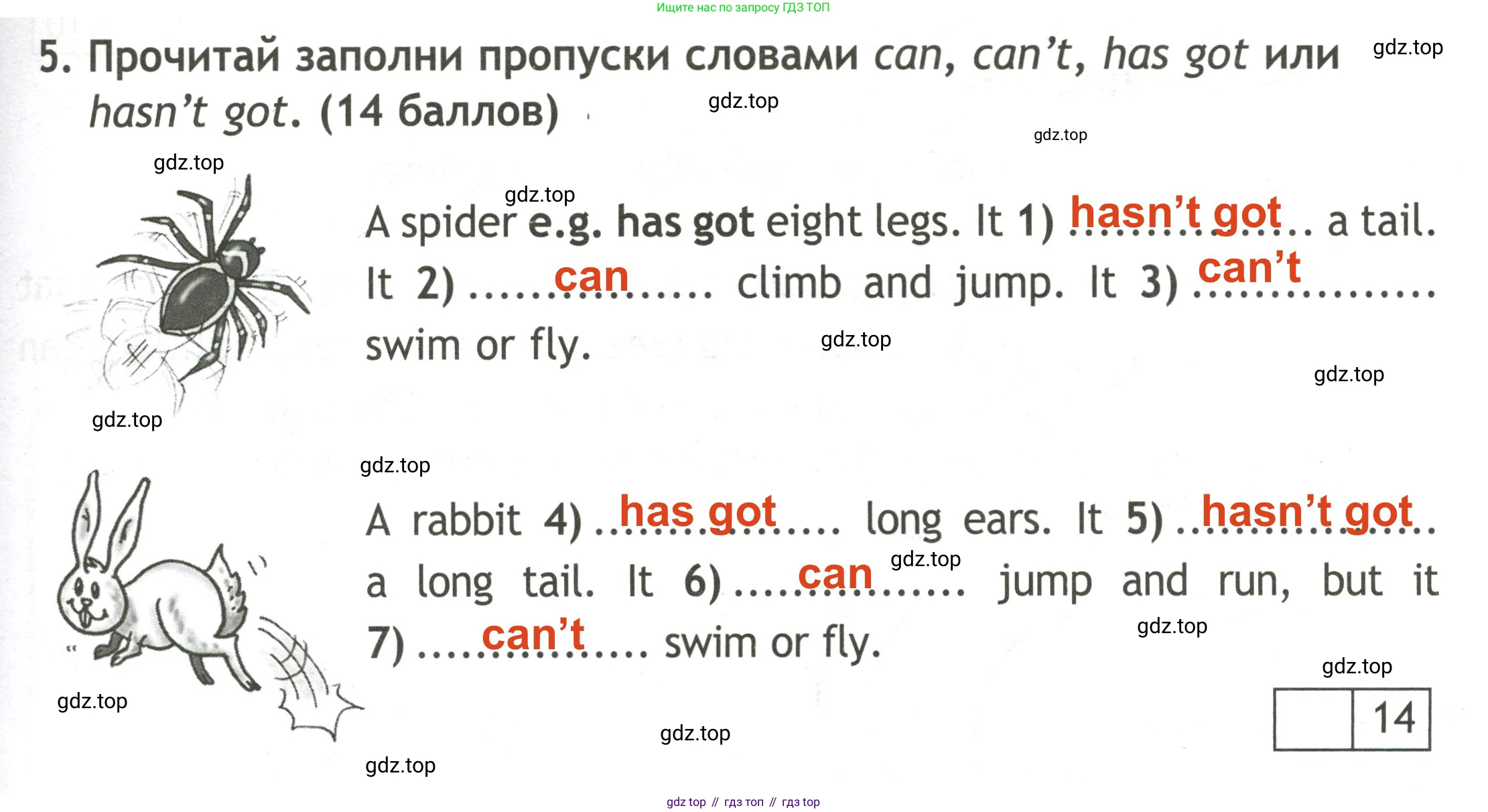 Английский язык (english), 3 класс контрольные задания (test booklet), авторы: Быкова Надежда Ильинична (Bykova Nadezhda), Дули Дженни (Dooley Jenny), Поспелова Марина Давидовна (Pospelova Marina), Эванс Вирджиния (Evans Virginia), издательство Просвещение, Москва, 2023, салатового цвета, страница 41, номер 5, Решение 2