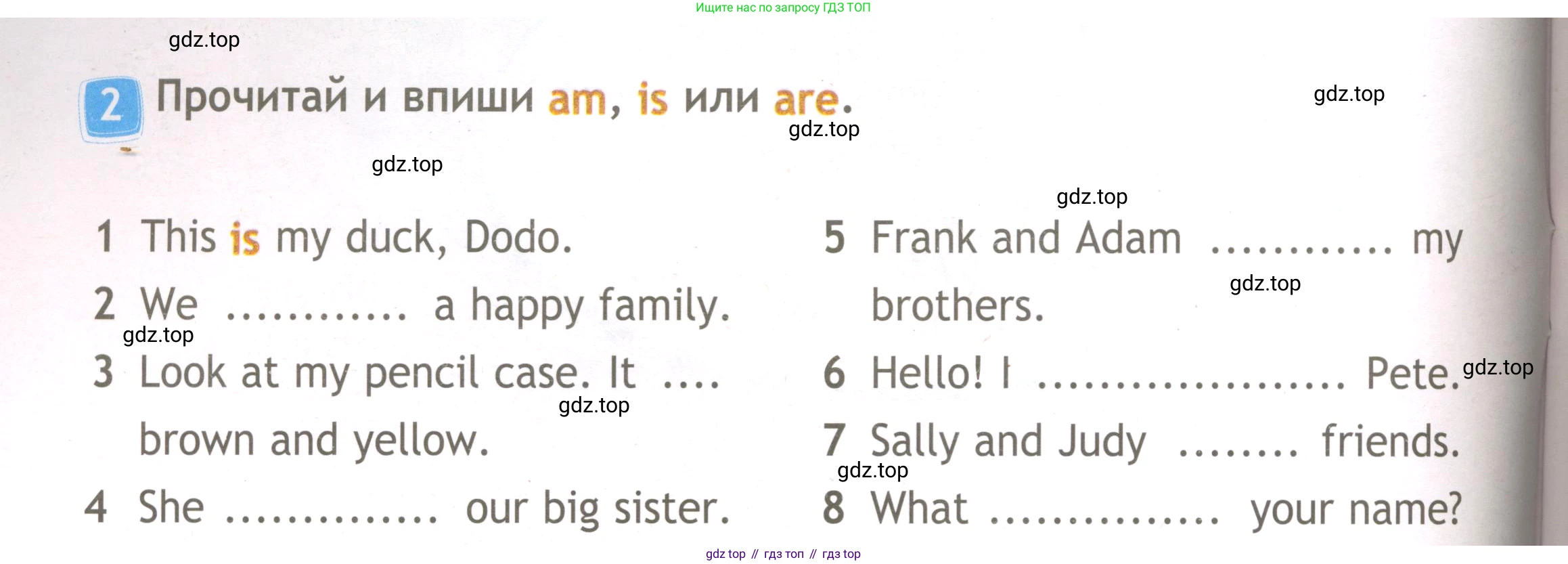 ГДЗ Английский язык (english), 3 класс Рабочая тетрадь (workbook), авторы: Быкова Надежда Ильинична (Bykova Nadezhda), Дули Дженни (Dooley Jenny), Поспелова Марина Давидовна (Pospelova Marina), Эванс Вирджиния (Evans Virginia), издательство Просвещение, Москва, 2023, зелёного цвета, страница 16, номер 2, Условие