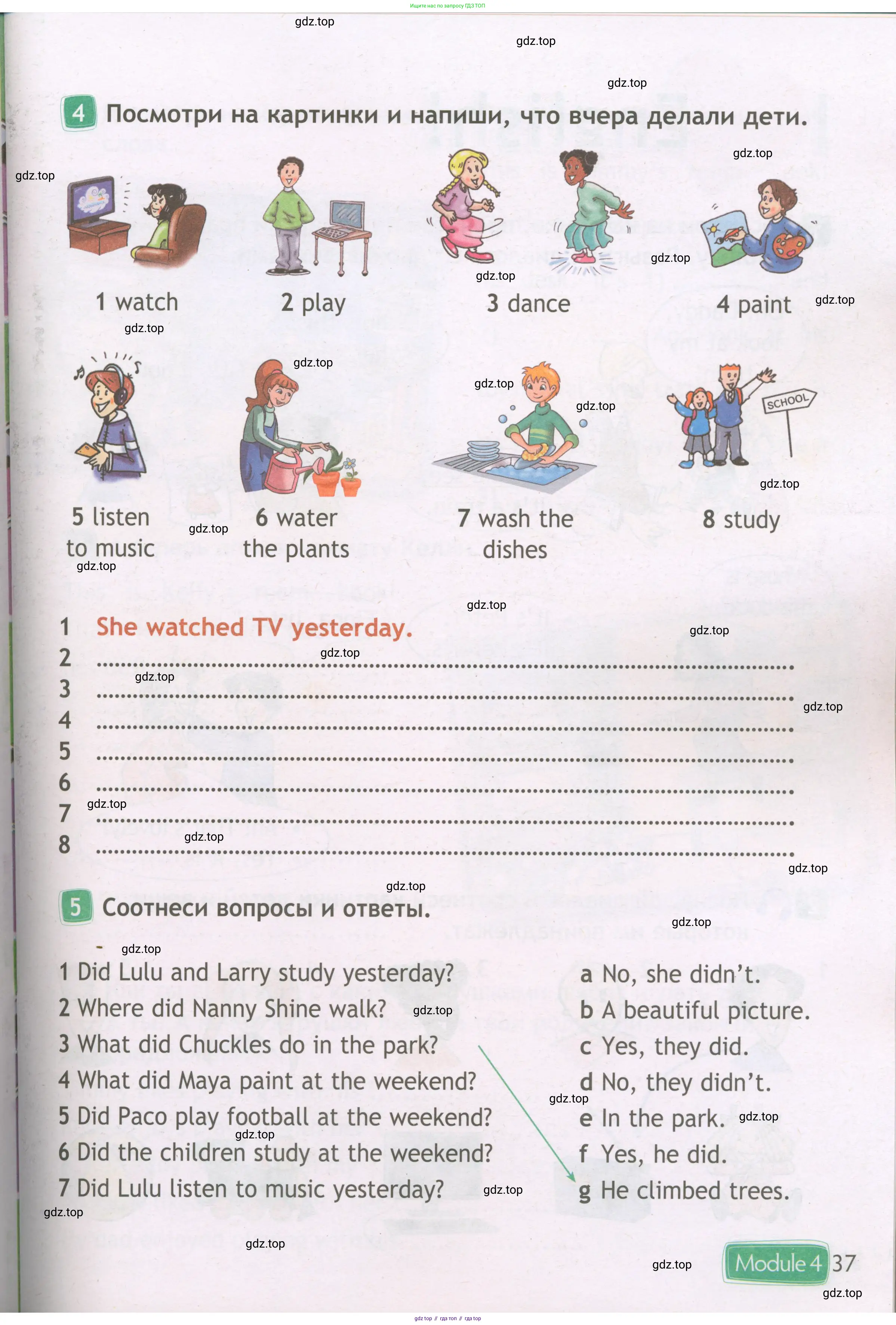 Английский язык (english), 3 класс Рабочая тетрадь (workbook), авторы: Быкова Надежда Ильинична (Bykova Nadezhda), Дули Дженни (Dooley Jenny), Поспелова Марина Давидовна (Pospelova Marina), Эванс Вирджиния (Evans Virginia), издательство Просвещение, Москва, 2023, зелёного цвета, страница 37
