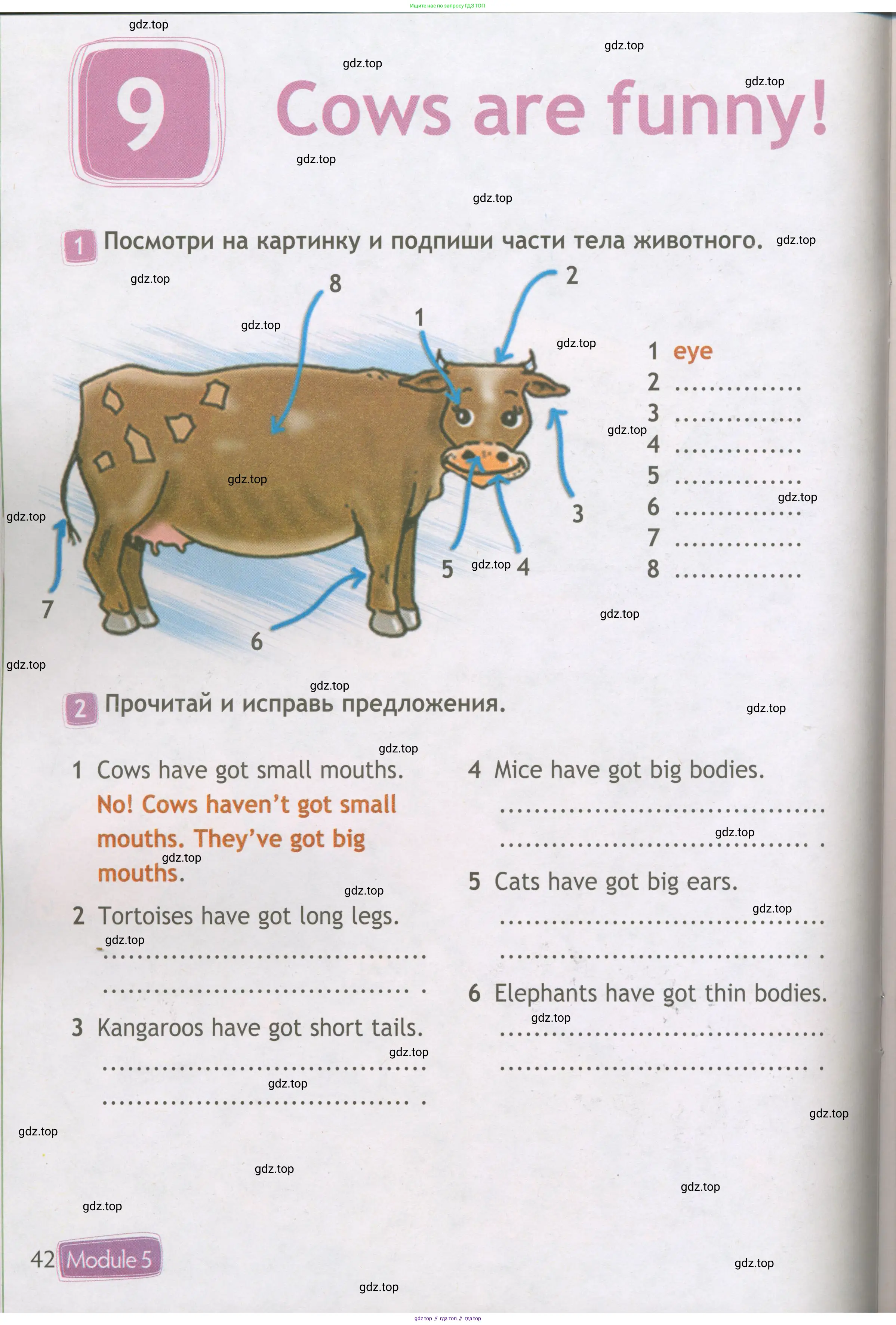 Английский язык (english), 3 класс Рабочая тетрадь (workbook), авторы: Быкова Надежда Ильинична (Bykova Nadezhda), Дули Дженни (Dooley Jenny), Поспелова Марина Давидовна (Pospelova Marina), Эванс Вирджиния (Evans Virginia), издательство Просвещение, Москва, 2023, зелёного цвета, страница 42
