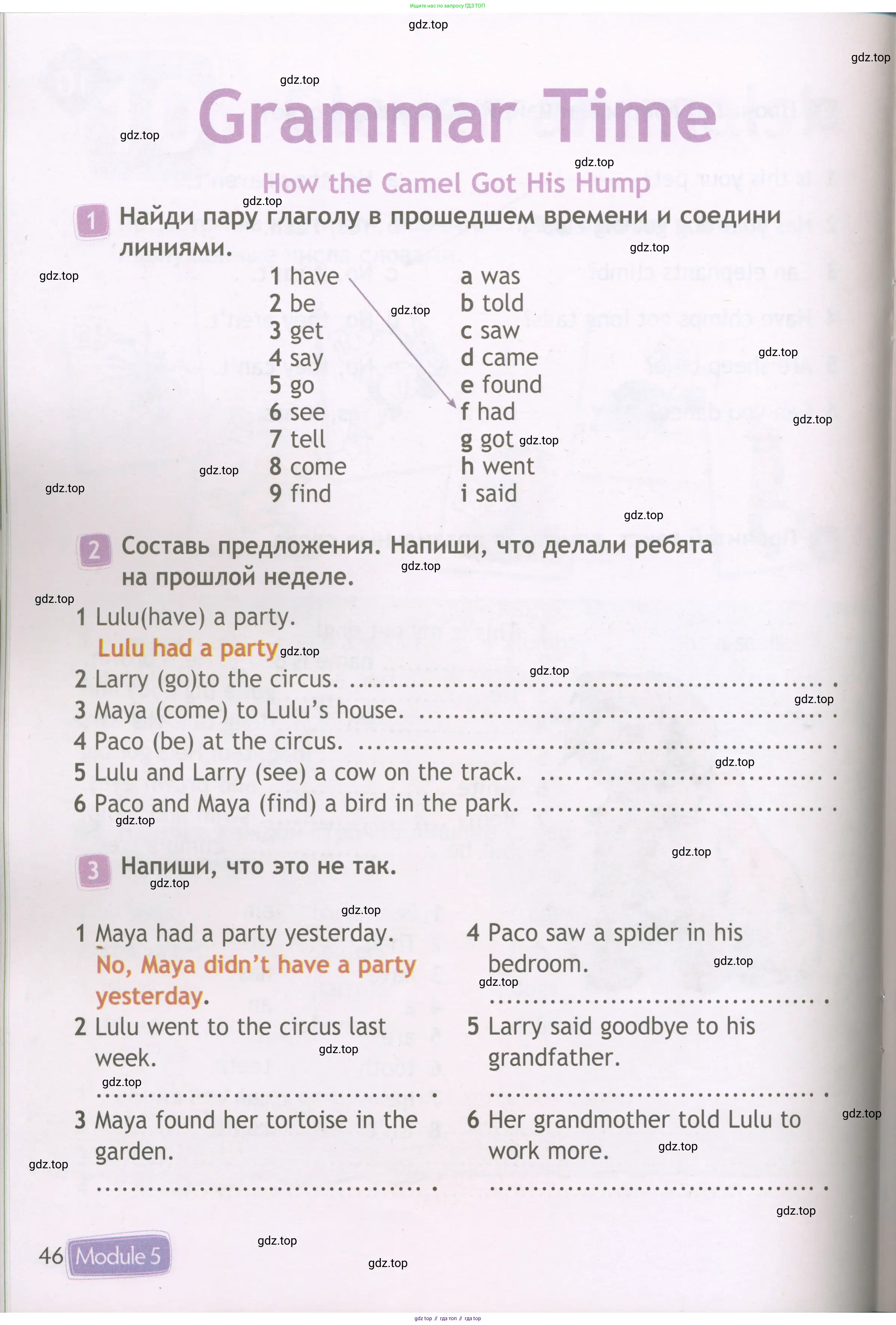 Английский язык (english), 3 класс Рабочая тетрадь (workbook), авторы: Быкова Надежда Ильинична (Bykova Nadezhda), Дули Дженни (Dooley Jenny), Поспелова Марина Давидовна (Pospelova Marina), Эванс Вирджиния (Evans Virginia), издательство Просвещение, Москва, 2023, зелёного цвета, страница 46