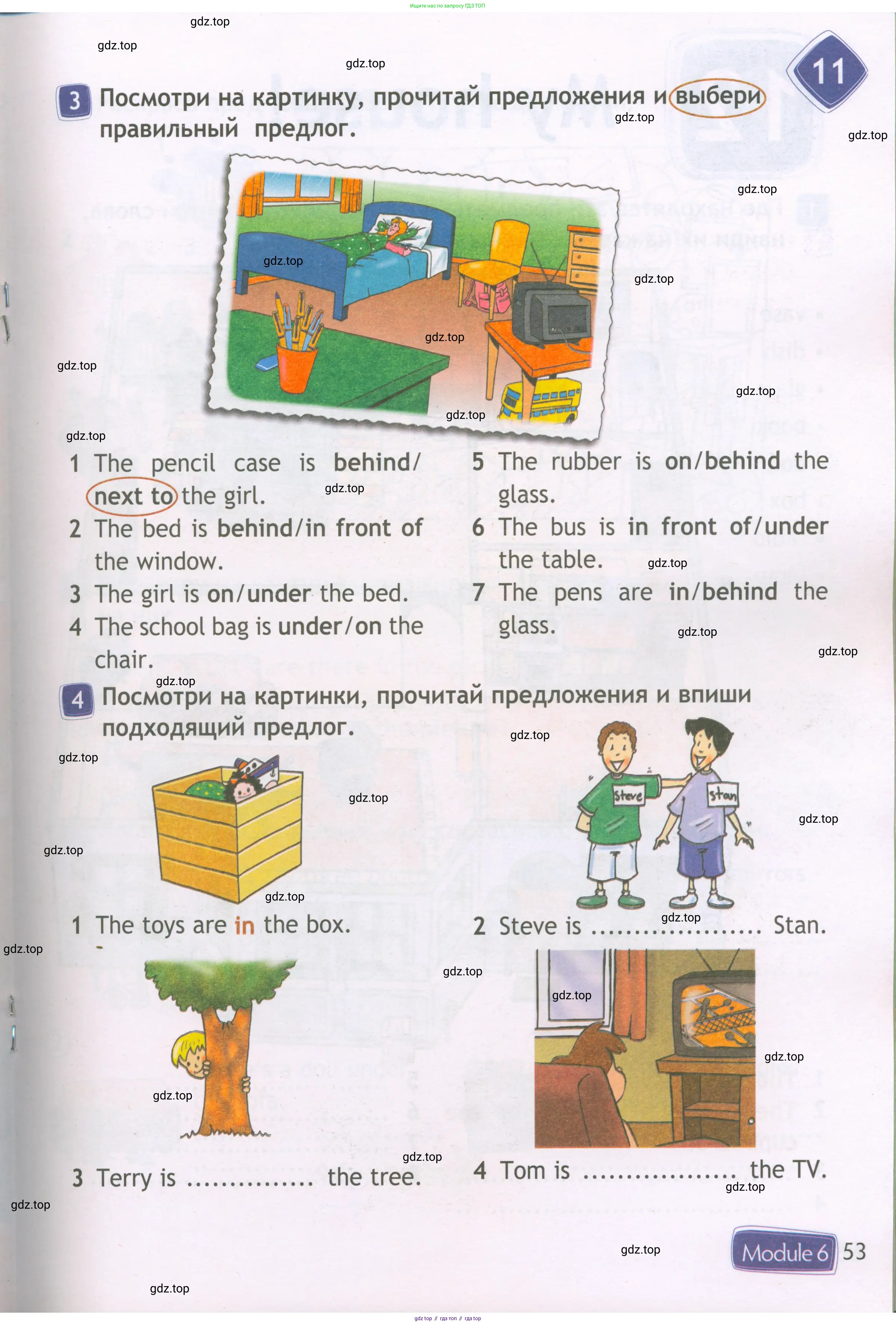 Английский язык (english), 3 класс Рабочая тетрадь (workbook), авторы: Быкова Надежда Ильинична (Bykova Nadezhda), Дули Дженни (Dooley Jenny), Поспелова Марина Давидовна (Pospelova Marina), Эванс Вирджиния (Evans Virginia), издательство Просвещение, Москва, 2023, зелёного цвета, страница 53