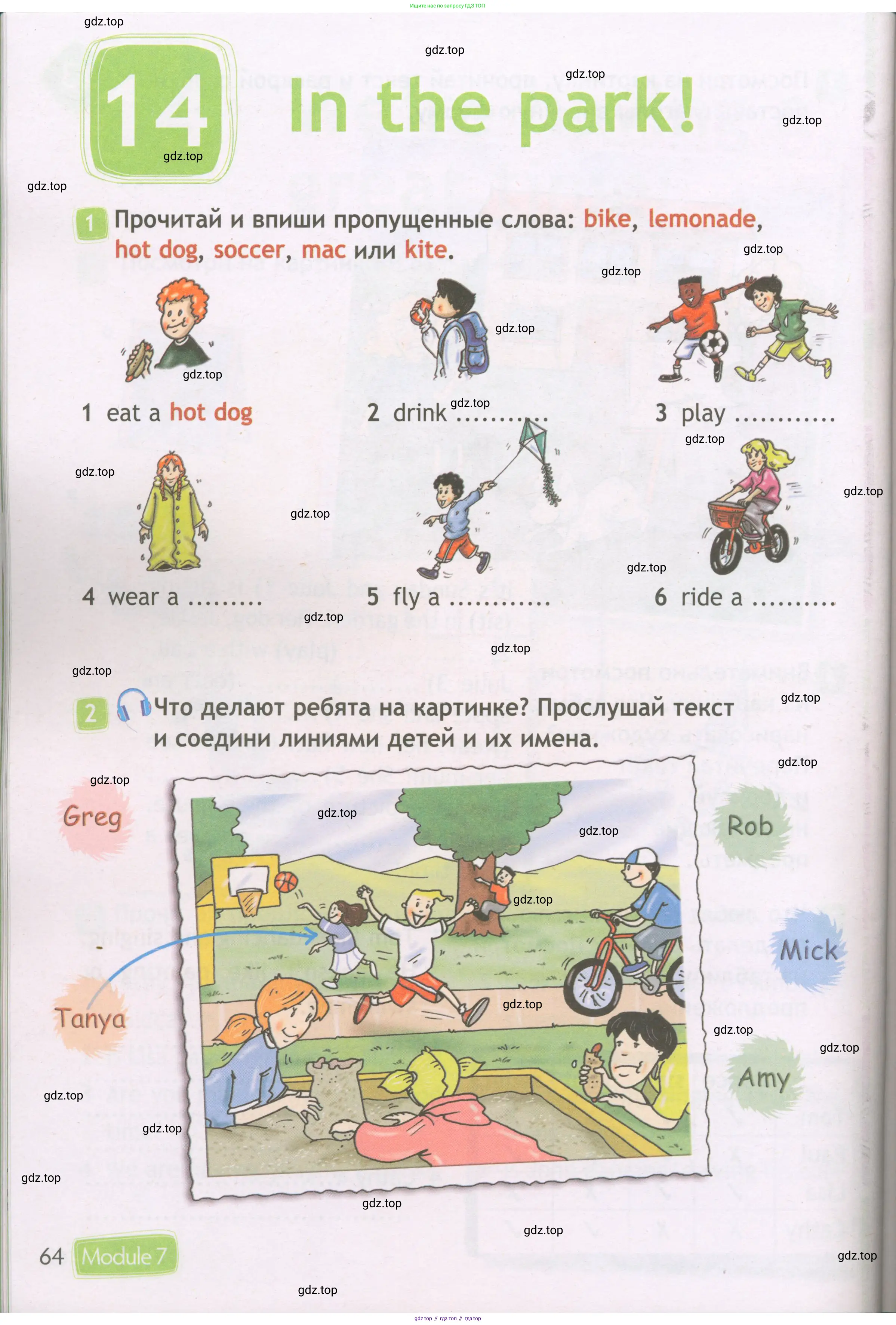 Английский язык (english), 3 класс Рабочая тетрадь (workbook), авторы: Быкова Надежда Ильинична (Bykova Nadezhda), Дули Дженни (Dooley Jenny), Поспелова Марина Давидовна (Pospelova Marina), Эванс Вирджиния (Evans Virginia), издательство Просвещение, Москва, 2023, зелёного цвета, страница 64