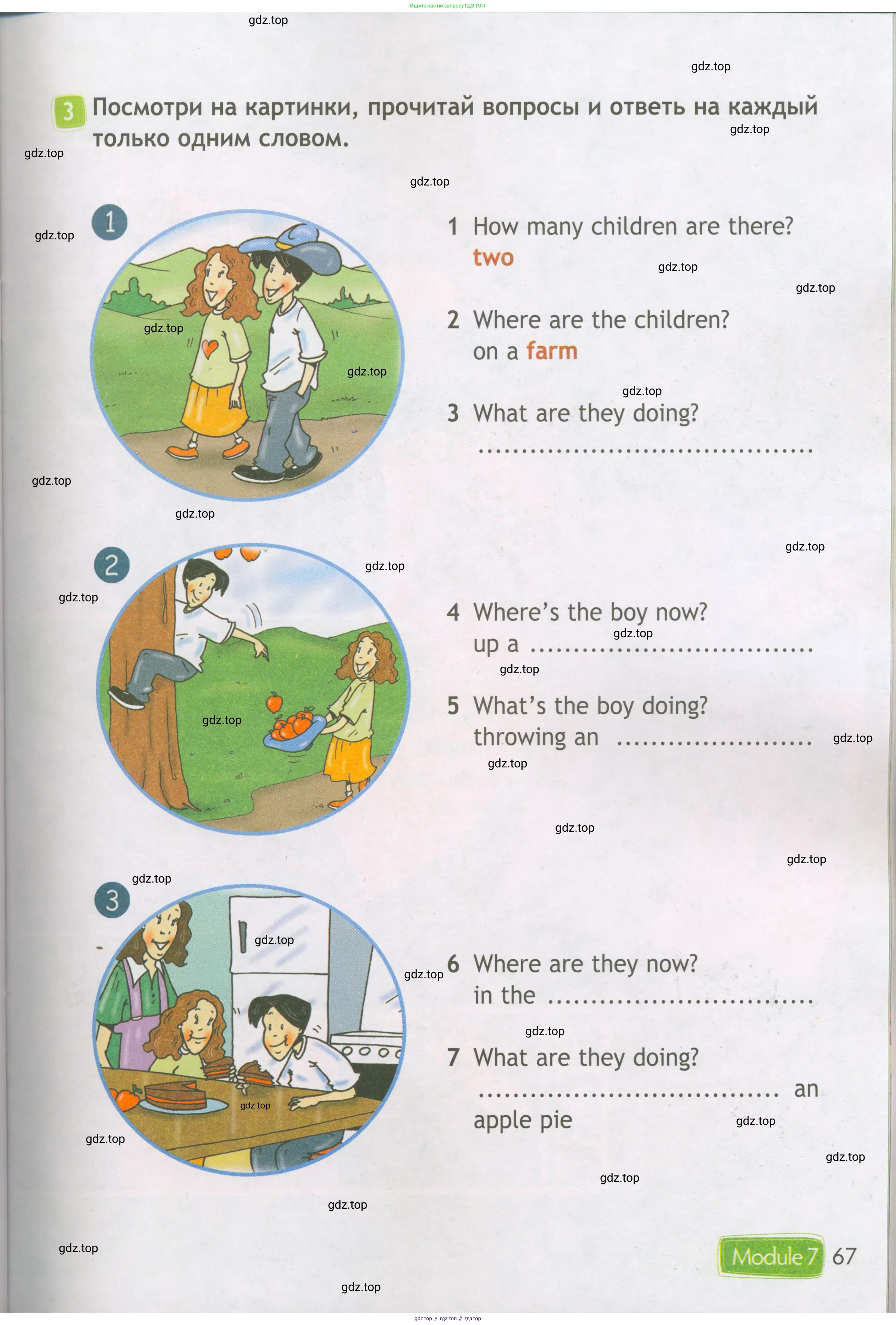 Английский язык (english), 3 класс Рабочая тетрадь (workbook), авторы: Быкова Надежда Ильинична (Bykova Nadezhda), Дули Дженни (Dooley Jenny), Поспелова Марина Давидовна (Pospelova Marina), Эванс Вирджиния (Evans Virginia), издательство Просвещение, Москва, 2023, зелёного цвета, страница 67