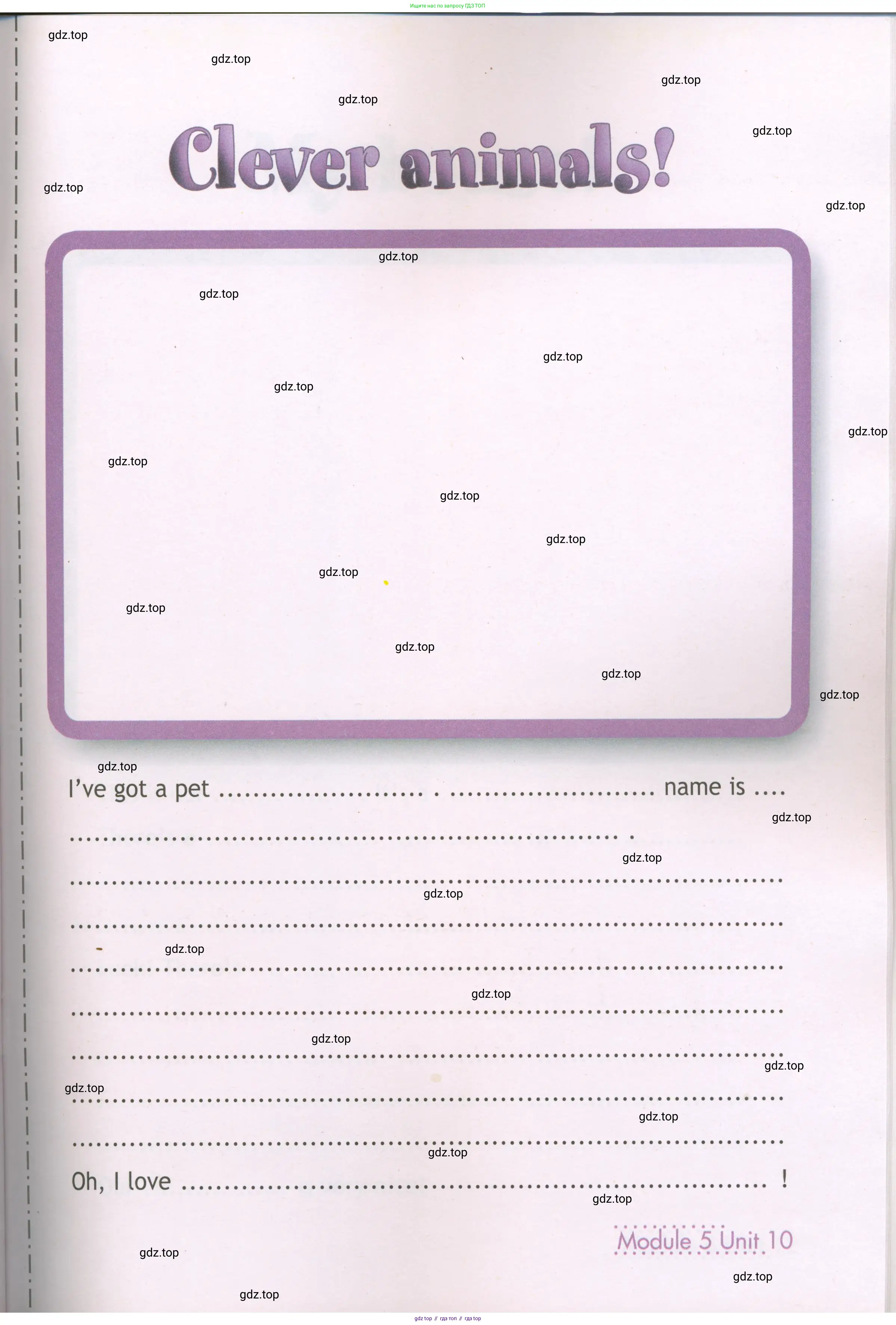 Английский язык (english), 3 класс Рабочая тетрадь (workbook), авторы: Быкова Надежда Ильинична (Bykova Nadezhda), Дули Дженни (Dooley Jenny), Поспелова Марина Давидовна (Pospelova Marina), Эванс Вирджиния (Evans Virginia), издательство Просвещение, Москва, 2023, зелёного цвета, страница 83