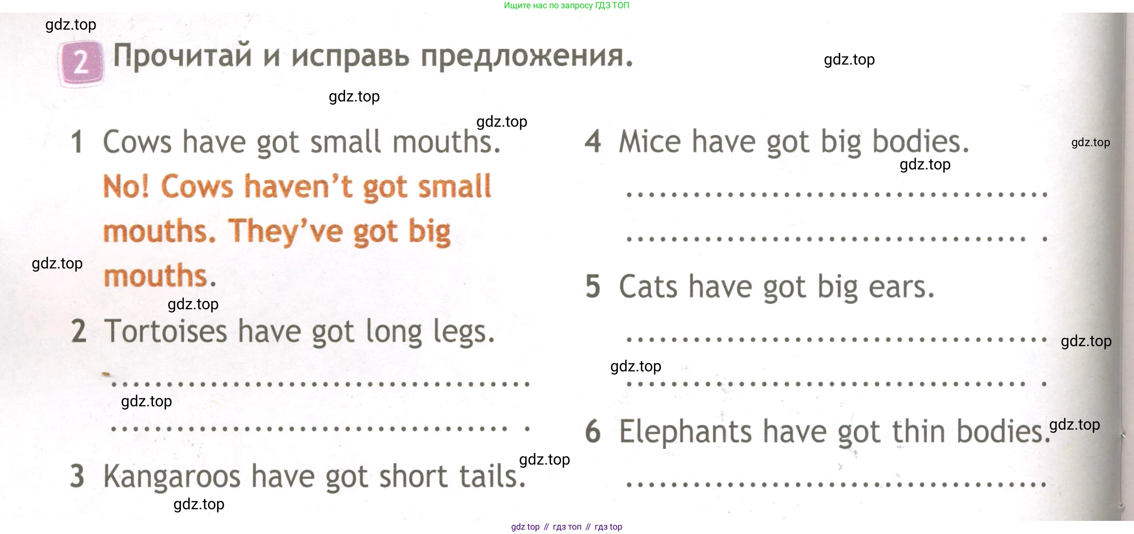 ГДЗ Английский язык (english), 3 класс Рабочая тетрадь (workbook), авторы: Быкова Надежда Ильинична (Bykova Nadezhda), Дули Дженни (Dooley Jenny), Поспелова Марина Давидовна (Pospelova Marina), Эванс Вирджиния (Evans Virginia), издательство Просвещение, Москва, 2023, зелёного цвета, страница 42, номер 2, Условие