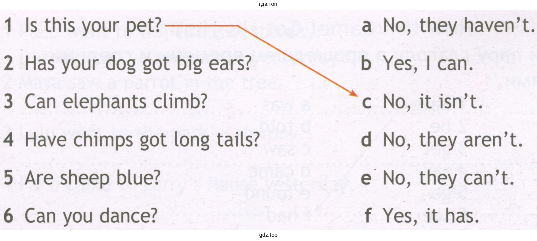 1 2 3 4 5 6 Is this your pet? Has your dog got big ears? Can elephants climb? Have chimps got long tails? Are sheep blue? Can you dance? a b c d e f No, they haven't. Yes, I can. No, it isn't. No, they aren't. No, they can't. Yes, it has.