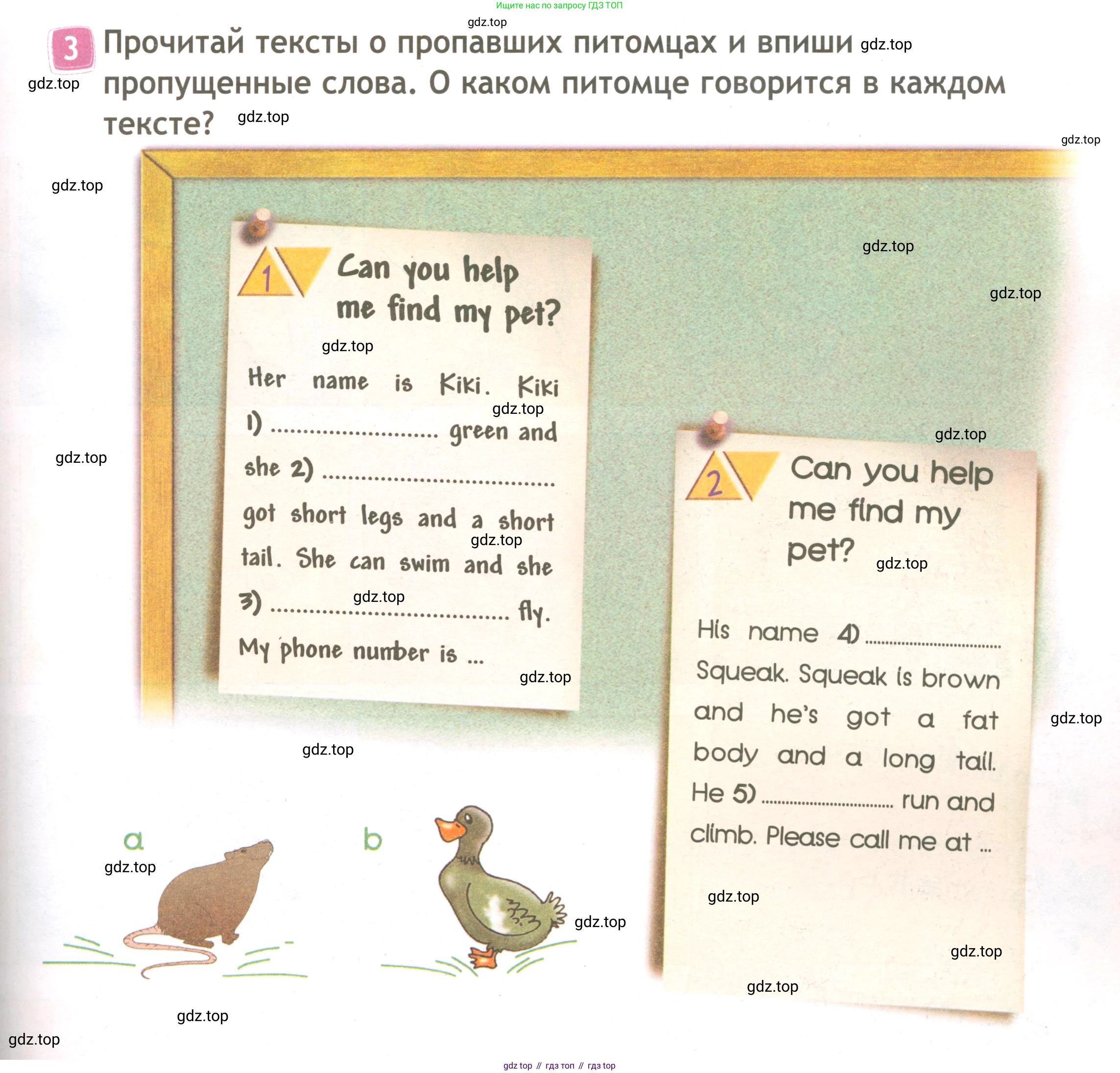 ГДЗ Английский язык (english), 3 класс Рабочая тетрадь (workbook), авторы: Быкова Надежда Ильинична (Bykova Nadezhda), Дули Дженни (Dooley Jenny), Поспелова Марина Давидовна (Pospelova Marina), Эванс Вирджиния (Evans Virginia), издательство Просвещение, Москва, 2023, зелёного цвета, страница 49, номер 3, Условие