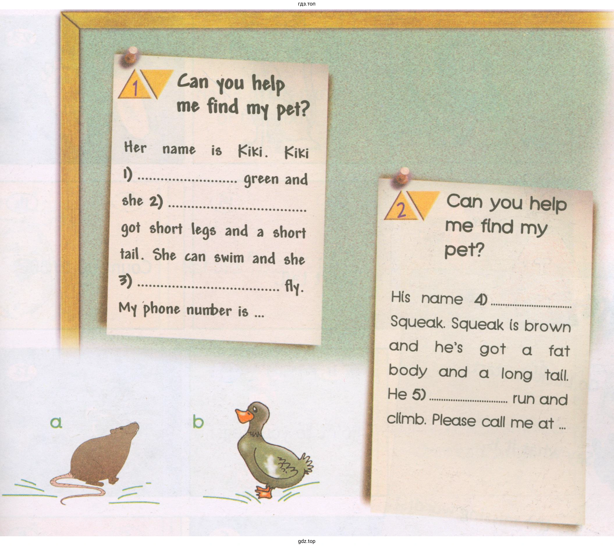 Can you help me find my pet? Her name l) she Z) Kiki. Kiki green and 90t short legs and a short tail. She can suim and she 3). My phone nunber is . fly. Can you help me find my pet? His name 4) Squeak Squeak (s brown and he's got a fat body and a long tall. He 5) run and climb. call at