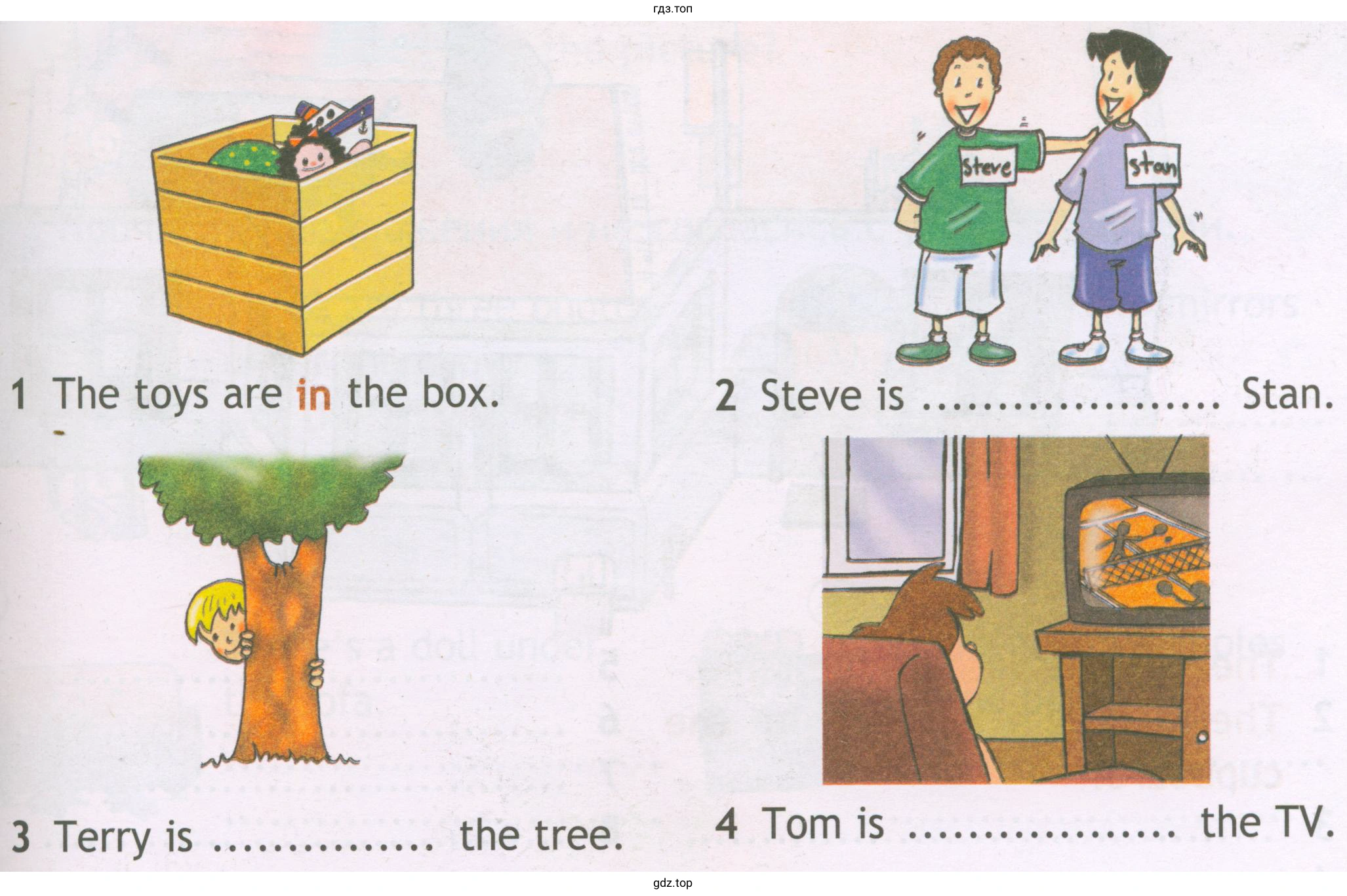 1 The toys are in the box. 2 Steve is ..... Stan. 3 Terry is the tree. 4 Tom IS the TV.