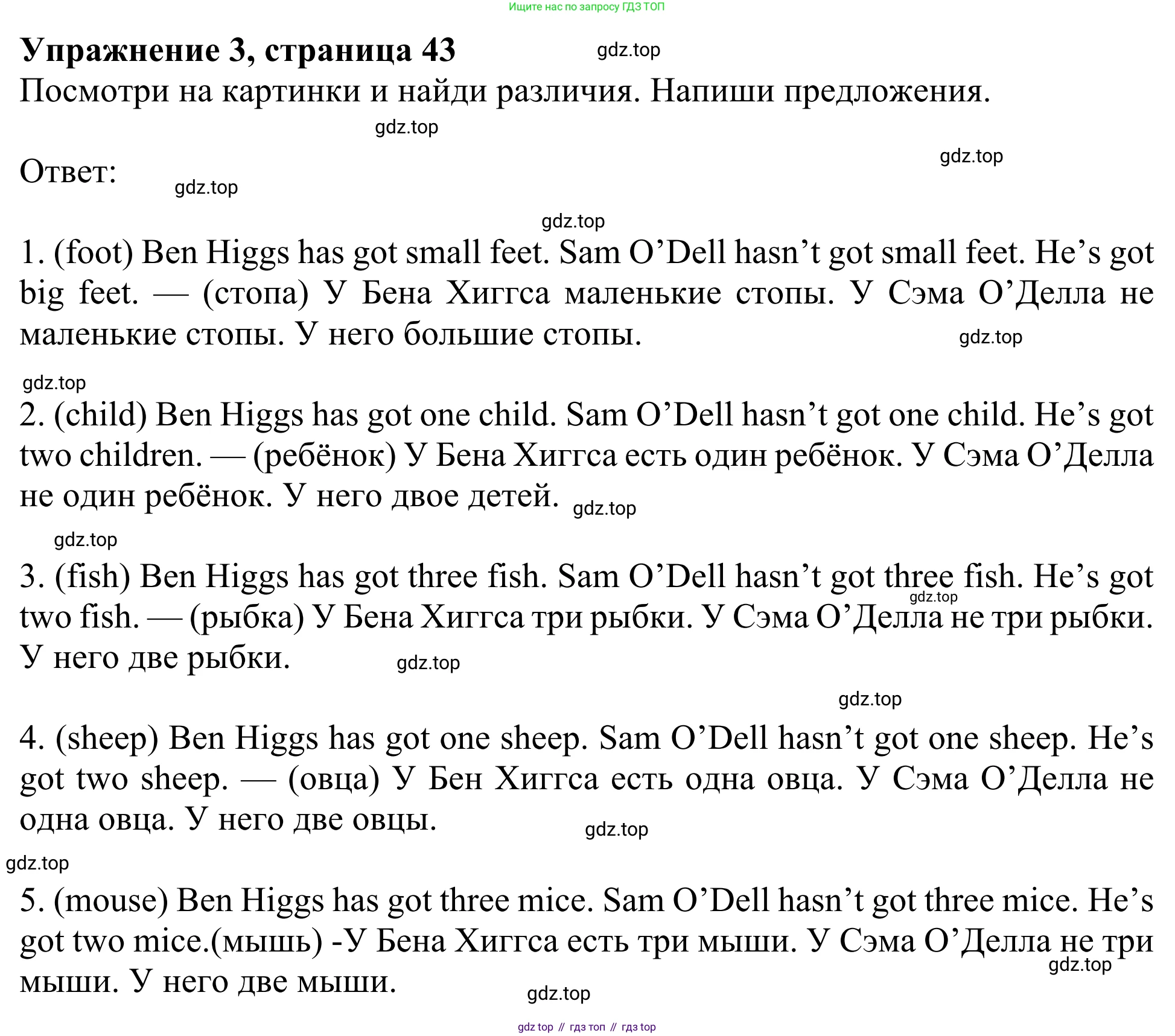 ГДЗ Английский язык (english), 3 класс Рабочая тетрадь (workbook), авторы: Быкова Надежда Ильинична (Bykova Nadezhda), Дули Дженни (Dooley Jenny), Поспелова Марина Давидовна (Pospelova Marina), Эванс Вирджиния (Evans Virginia), издательство Просвещение, Москва, 2023, зелёного цвета, страница 43, номер 3, Решение 2