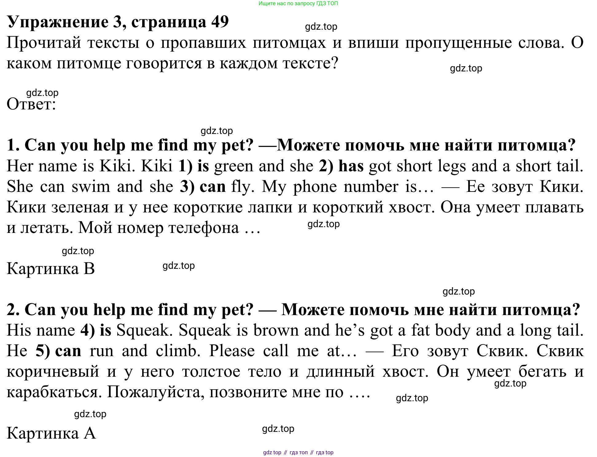 ГДЗ Английский язык (english), 3 класс Рабочая тетрадь (workbook), авторы: Быкова Надежда Ильинична (Bykova Nadezhda), Дули Дженни (Dooley Jenny), Поспелова Марина Давидовна (Pospelova Marina), Эванс Вирджиния (Evans Virginia), издательство Просвещение, Москва, 2023, зелёного цвета, страница 49, номер 3, Решение 2