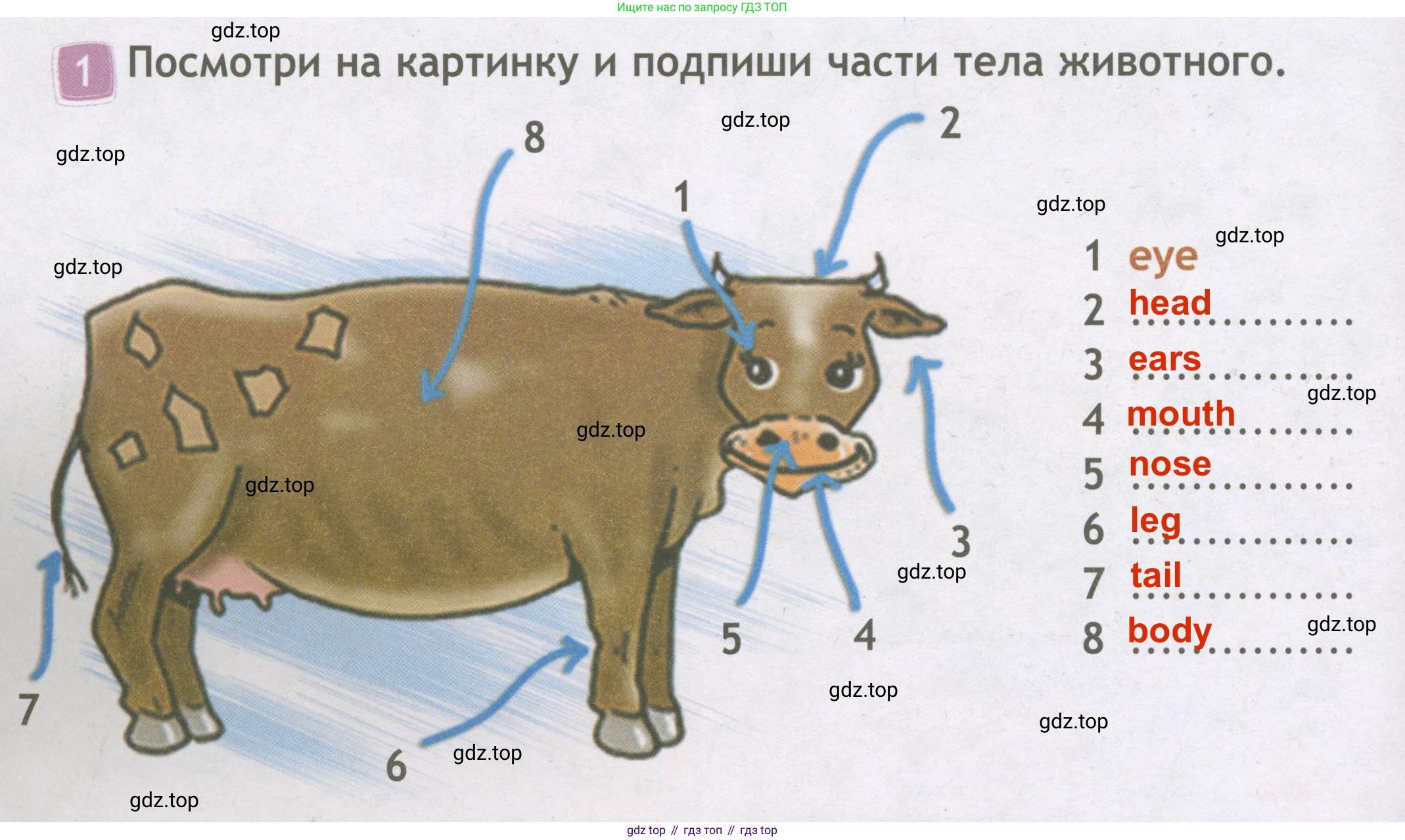 ГДЗ Английский язык (english), 3 класс Рабочая тетрадь (workbook), авторы: Быкова Надежда Ильинична (Bykova Nadezhda), Дули Дженни (Dooley Jenny), Поспелова Марина Давидовна (Pospelova Marina), Эванс Вирджиния (Evans Virginia), издательство Просвещение, Москва, 2023, зелёного цвета, страница 42, номер 1, Решение 3