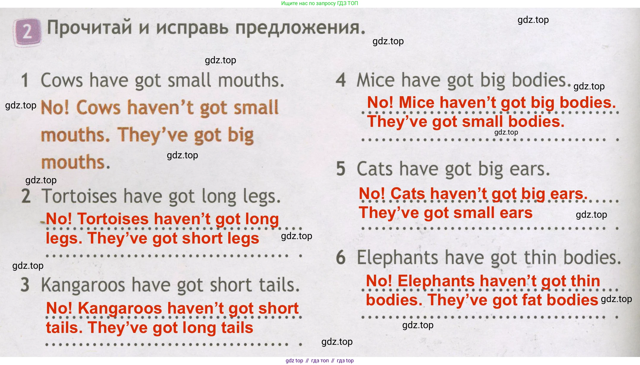 ГДЗ Английский язык (english), 3 класс Рабочая тетрадь (workbook), авторы: Быкова Надежда Ильинична (Bykova Nadezhda), Дули Дженни (Dooley Jenny), Поспелова Марина Давидовна (Pospelova Marina), Эванс Вирджиния (Evans Virginia), издательство Просвещение, Москва, 2023, зелёного цвета, страница 42, номер 2, Решение 3