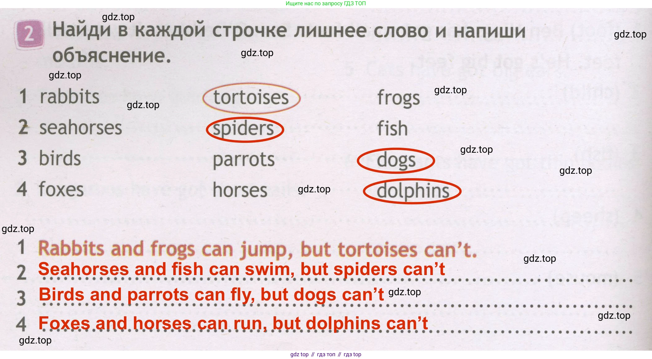 ГДЗ Английский язык (english), 3 класс Рабочая тетрадь (workbook), авторы: Быкова Надежда Ильинична (Bykova Nadezhda), Дули Дженни (Dooley Jenny), Поспелова Марина Давидовна (Pospelova Marina), Эванс Вирджиния (Evans Virginia), издательство Просвещение, Москва, 2023, зелёного цвета, страница 44, номер 2, Решение 3