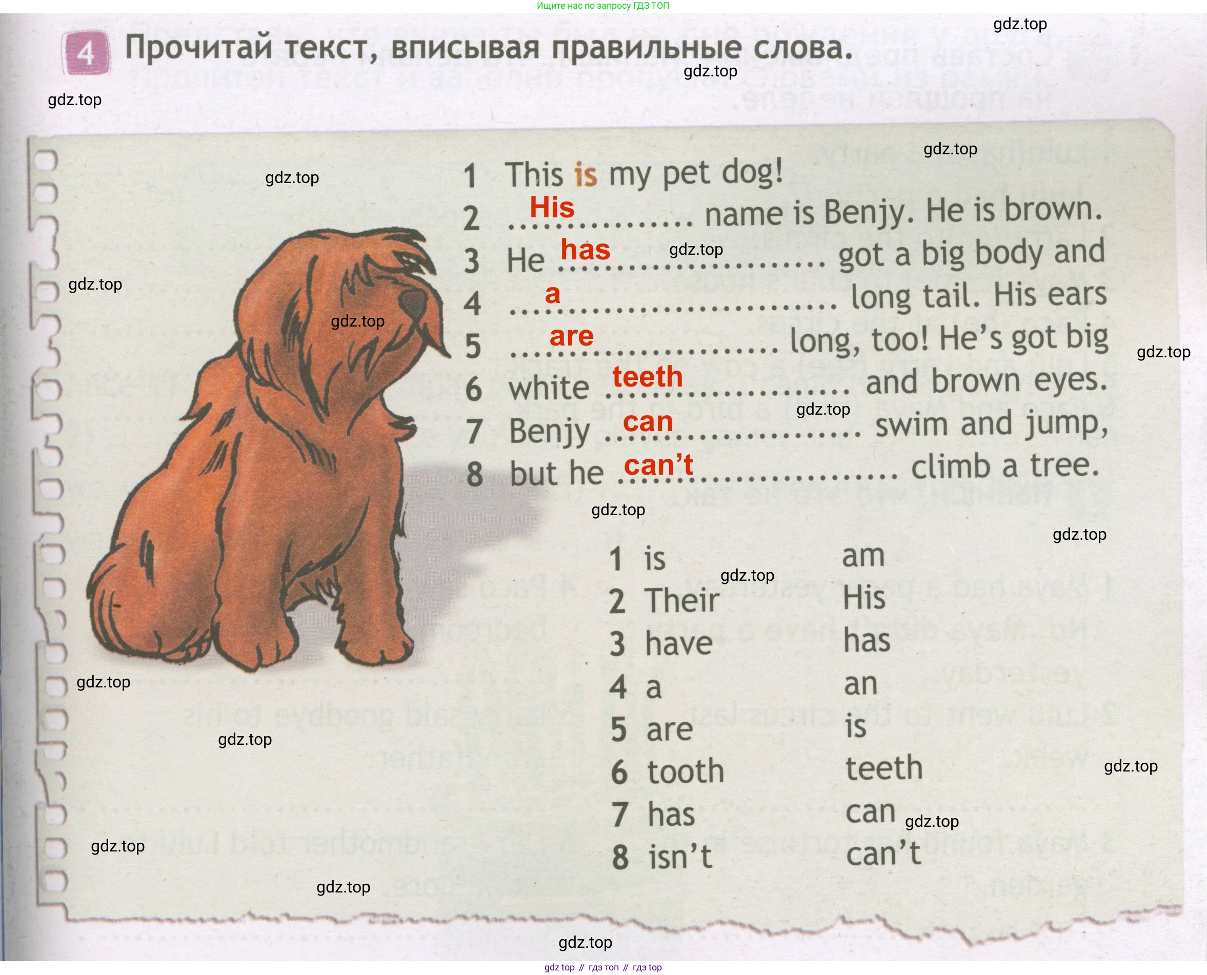 ГДЗ Английский язык (english), 3 класс Рабочая тетрадь (workbook), авторы: Быкова Надежда Ильинична (Bykova Nadezhda), Дули Дженни (Dooley Jenny), Поспелова Марина Давидовна (Pospelova Marina), Эванс Вирджиния (Evans Virginia), издательство Просвещение, Москва, 2023, зелёного цвета, страница 45, номер 4, Решение 3