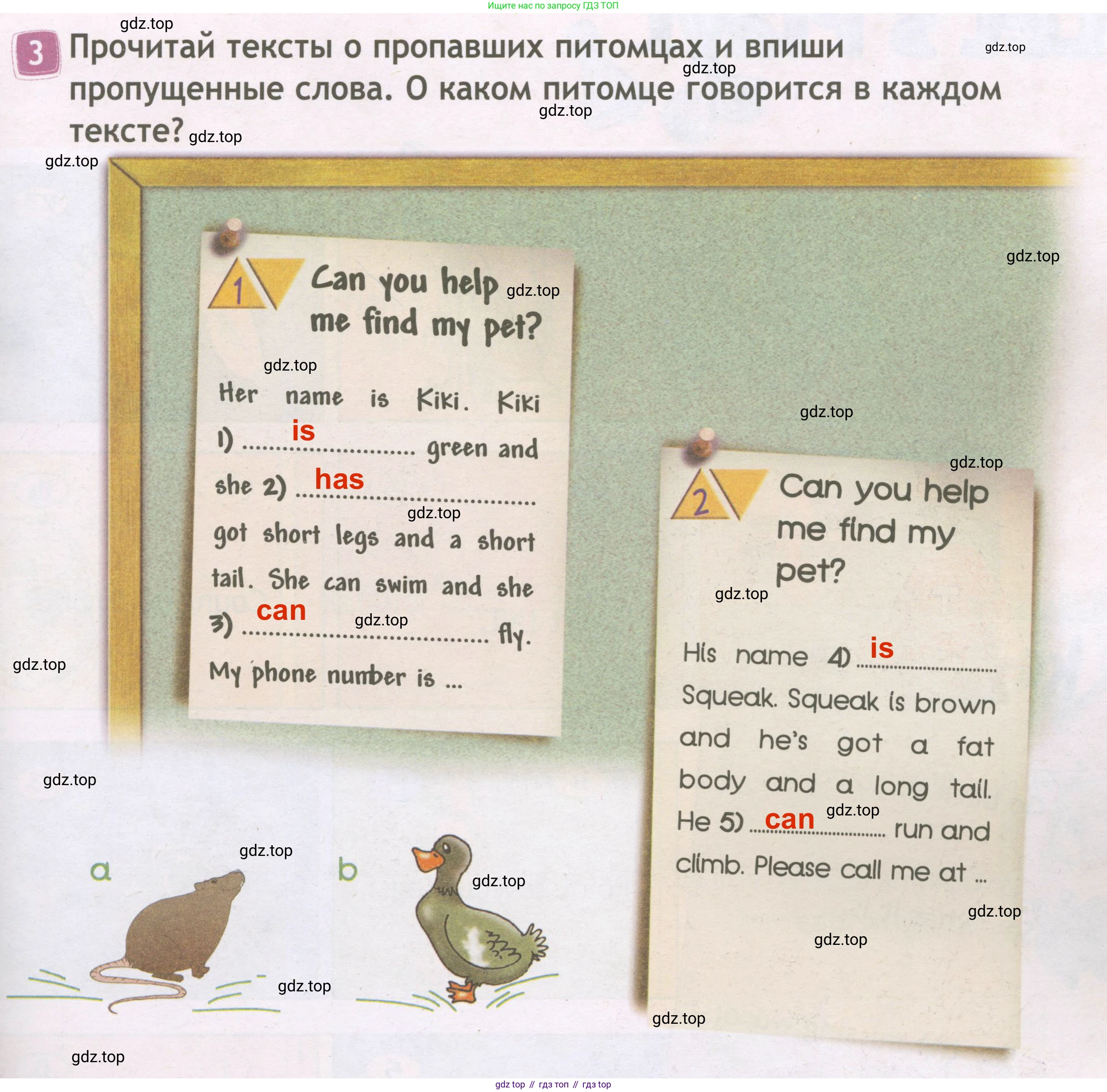 ГДЗ Английский язык (english), 3 класс Рабочая тетрадь (workbook), авторы: Быкова Надежда Ильинична (Bykova Nadezhda), Дули Дженни (Dooley Jenny), Поспелова Марина Давидовна (Pospelova Marina), Эванс Вирджиния (Evans Virginia), издательство Просвещение, Москва, 2023, зелёного цвета, страница 49, номер 3, Решение 3