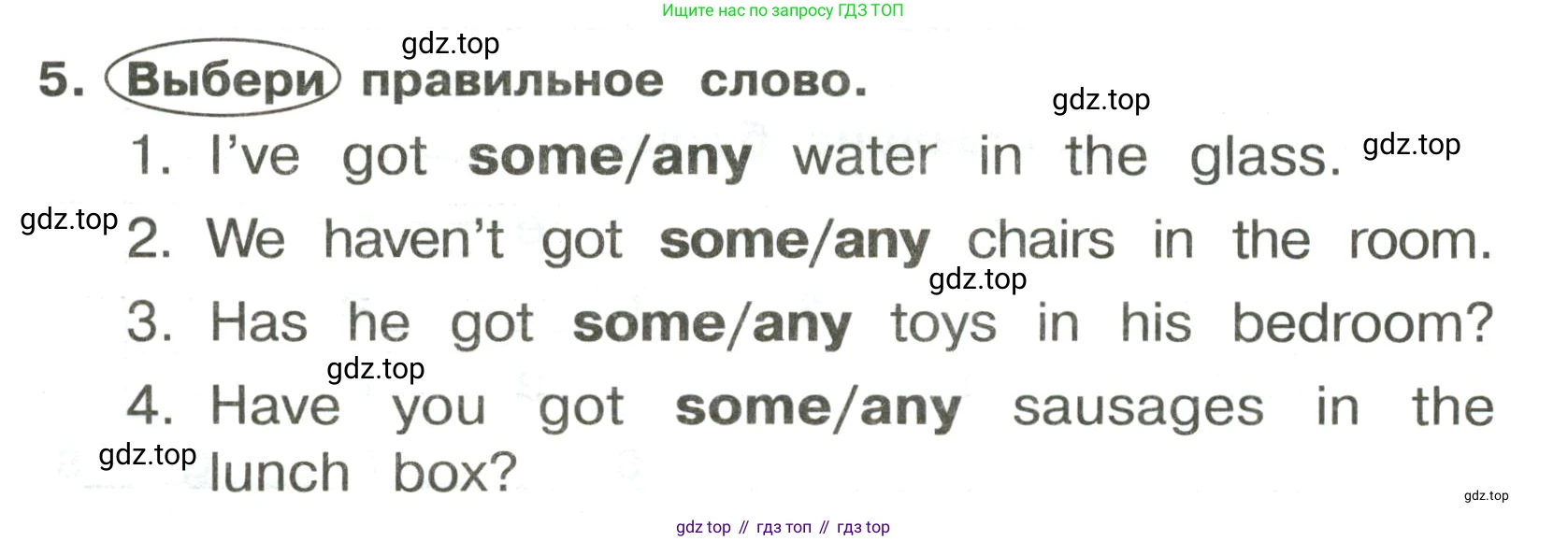 ГДЗ Английский язык (english), 3 класс Сборник упражнений, авторы: Быкова Надежда Ильинична (Bykova Nadezhda), Поспелова Марина Давидовна (Pospelova Marina), издательство Просвещение, Москва, 2023, зелёного цвета, страница 48, номер 5, Условие