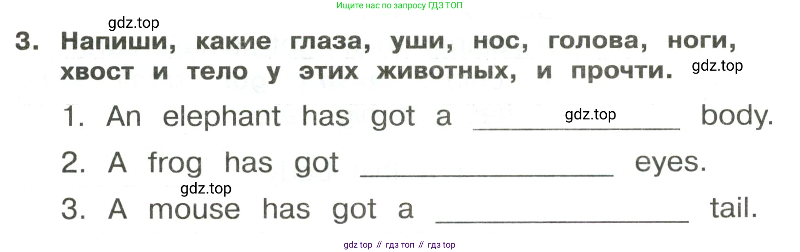 ГДЗ Английский язык (english), 3 класс Сборник упражнений, авторы: Быкова Надежда Ильинична (Bykova Nadezhda), Поспелова Марина Давидовна (Pospelova Marina), издательство Просвещение, Москва, 2023, зелёного цвета, страница 73, номер 3, Условие