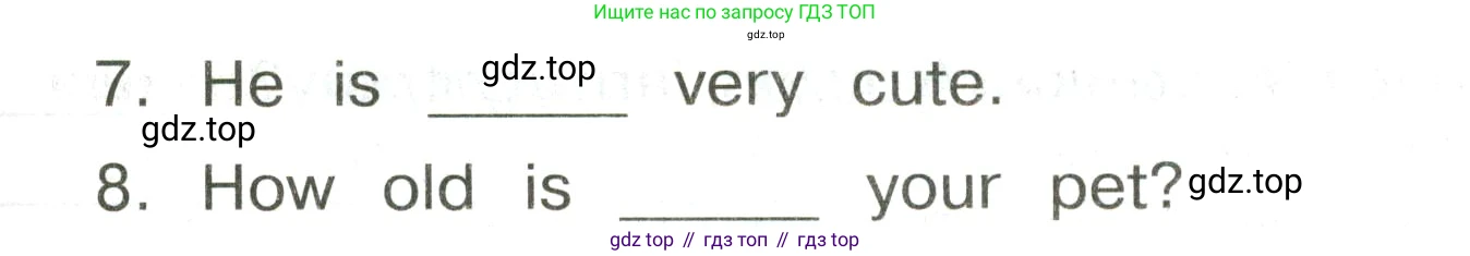 ГДЗ Английский язык (english), 3 класс Сборник упражнений, авторы: Быкова Надежда Ильинична (Bykova Nadezhda), Поспелова Марина Давидовна (Pospelova Marina), издательство Просвещение, Москва, 2023, зелёного цвета, страница 86, номер 17, Условие (продолжение 2)