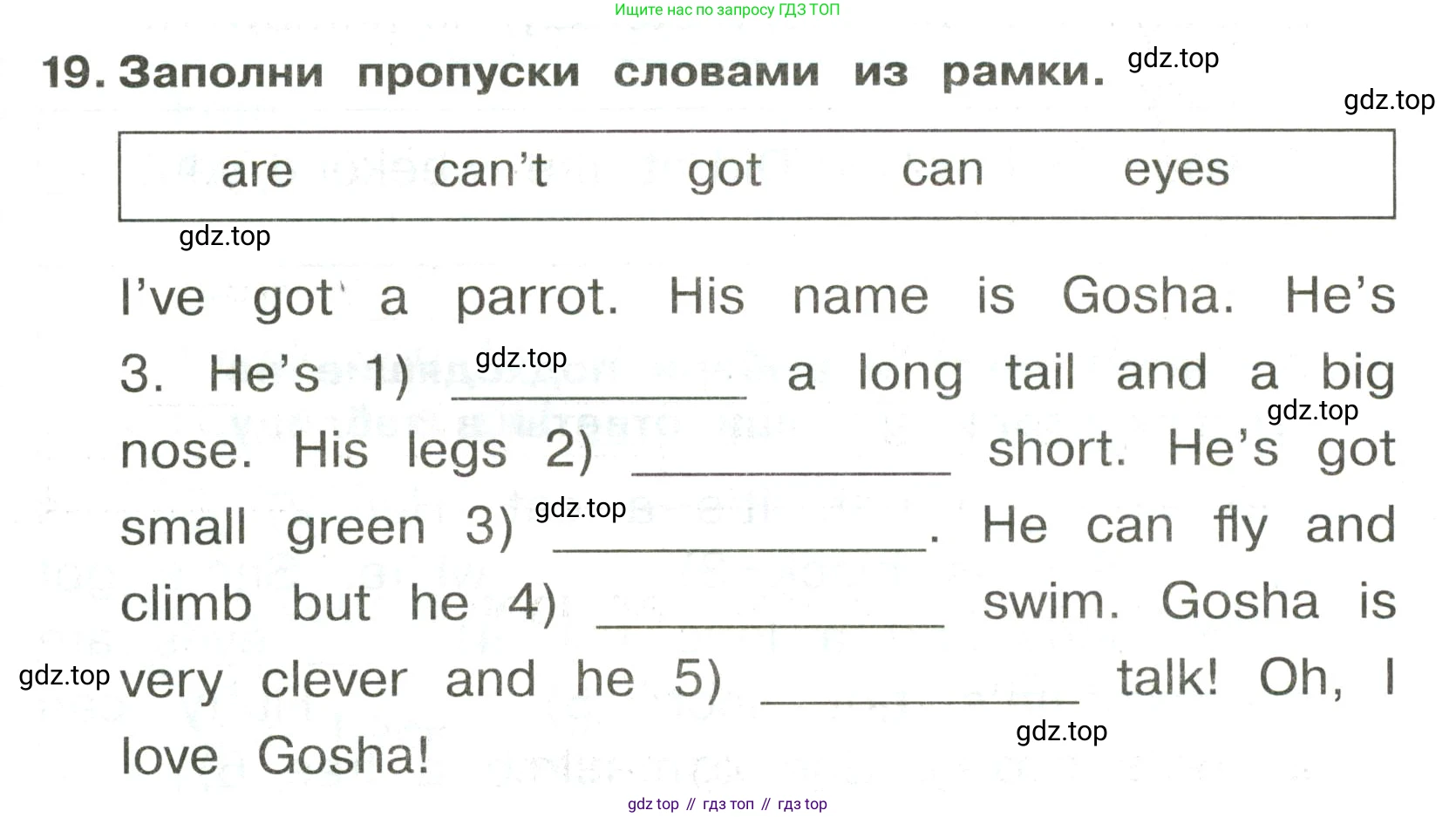 ГДЗ Английский язык (english), 3 класс Сборник упражнений, авторы: Быкова Надежда Ильинична (Bykova Nadezhda), Поспелова Марина Давидовна (Pospelova Marina), издательство Просвещение, Москва, 2023, зелёного цвета, страница 87, номер 19, Условие