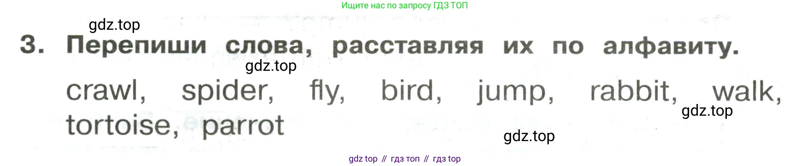 ГДЗ Английский язык (english), 3 класс Сборник упражнений, авторы: Быкова Надежда Ильинична (Bykova Nadezhda), Поспелова Марина Давидовна (Pospelova Marina), издательство Просвещение, Москва, 2023, зелёного цвета, страница 78, номер 3, Условие