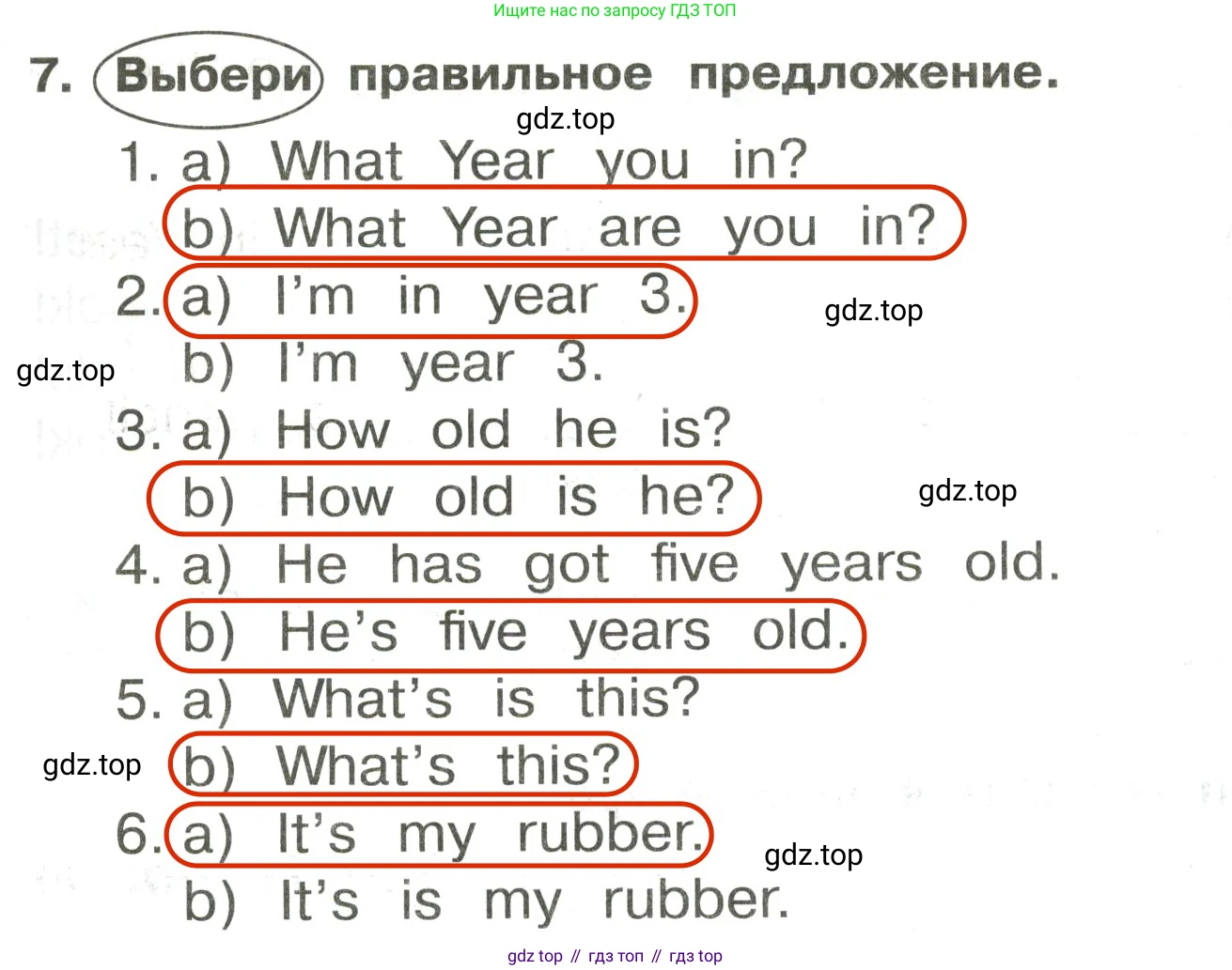 ГДЗ Английский язык (english), 3 класс Сборник упражнений, авторы: Быкова Надежда Ильинична (Bykova Nadezhda), Поспелова Марина Давидовна (Pospelova Marina), издательство Просвещение, Москва, 2023, зелёного цвета, страница 25, номер 7, Решение 2