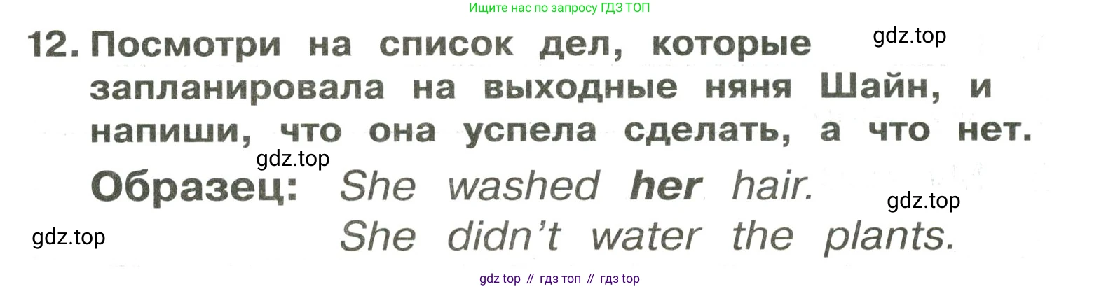 ГДЗ Английский язык (english), 3 класс Сборник упражнений, авторы: Быкова Надежда Ильинична (Bykova Nadezhda), Поспелова Марина Давидовна (Pospelova Marina), издательство Просвещение, Москва, 2023, зелёного цвета, страница 67, номер 12, Решение 2