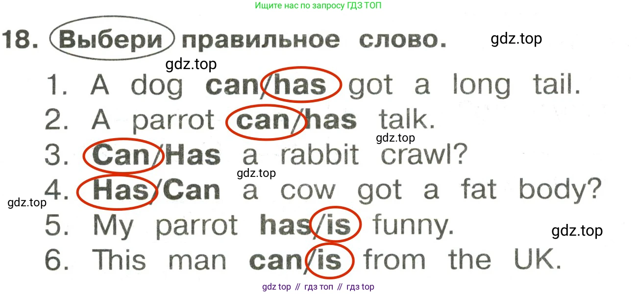 ГДЗ Английский язык (english), 3 класс Сборник упражнений, авторы: Быкова Надежда Ильинична (Bykova Nadezhda), Поспелова Марина Давидовна (Pospelova Marina), издательство Просвещение, Москва, 2023, зелёного цвета, страница 87, номер 18, Решение 2