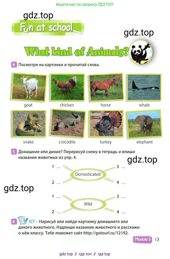 Английский язык (english), 3 класс Учебник (Student's book), авторы: Быкова Надежда Ильинична (Bykova Nadezhda), Дули Дженни (Dooley Jenny), Поспелова Марина Давидовна (Pospelova Marina), Эванс Вирджиния (Evans Virginia), издательство Просвещение, Москва, 2023, зелёного цвета, Часть 1, страница 13