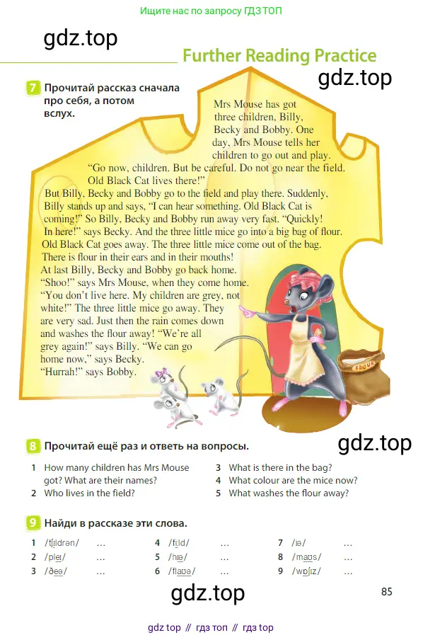Английский язык (english), 3 класс Учебник (Student's book), авторы: Быкова Надежда Ильинична (Bykova Nadezhda), Дули Дженни (Dooley Jenny), Поспелова Марина Давидовна (Pospelova Marina), Эванс Вирджиния (Evans Virginia), издательство Просвещение, Москва, 2023, зелёного цвета, Часть 1, страница 85