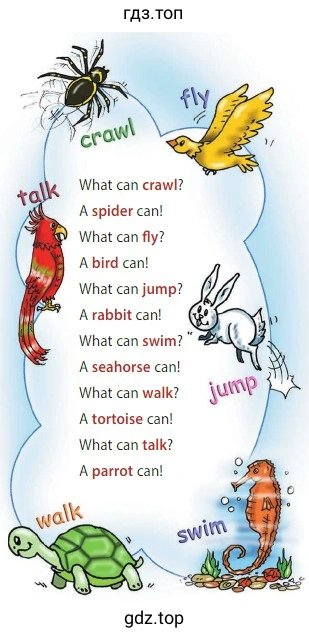 What can crawl? A spider can! What can fly? A bird can! What can jump? A rabbit can! What can swim? A seahorse can! What can walk? A tortoise can! What can talk? A parrot can!