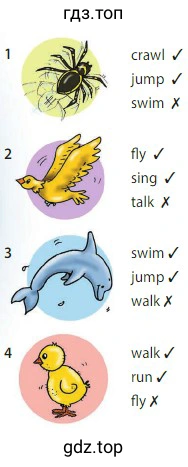 crawl jump swim fiy sing talk swim jump walk walk run fly
