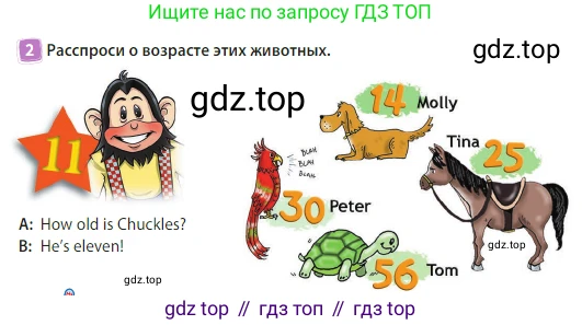 Английский язык (english), 3 класс Учебник (Student's book), авторы: Быкова Надежда Ильинична (Bykova Nadezhda), Дули Дженни (Dooley Jenny), Поспелова Марина Давидовна (Pospelova Marina), Эванс Вирджиния (Evans Virginia), издательство Просвещение, Москва, 2023, зелёного цвета, Часть 2, страница 12, номер 2, Условие