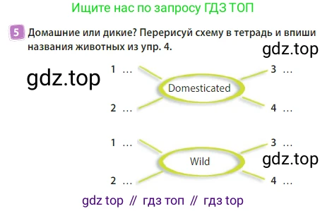 Английский язык (english), 3 класс Учебник (Student's book), авторы: Быкова Надежда Ильинична (Bykova Nadezhda), Дули Дженни (Dooley Jenny), Поспелова Марина Давидовна (Pospelova Marina), Эванс Вирджиния (Evans Virginia), издательство Просвещение, Москва, 2023, зелёного цвета, Часть 2, страница 13, номер 5, Условие