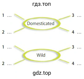 Domesticated Wild