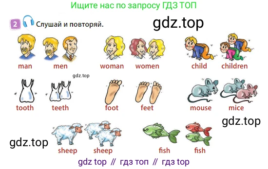 Английский язык (english), 3 класс Учебник (Student's book), авторы: Быкова Надежда Ильинична (Bykova Nadezhda), Дули Дженни (Dooley Jenny), Поспелова Марина Давидовна (Pospelova Marina), Эванс Вирджиния (Evans Virginia), издательство Просвещение, Москва, 2023, зелёного цвета, Часть 2, страница 8, номер 2, Условие